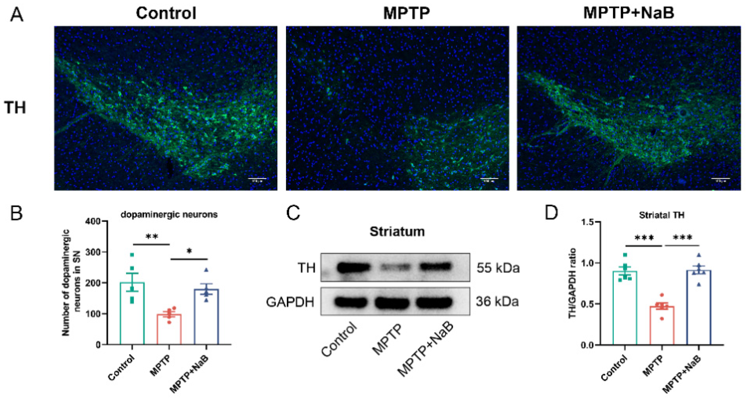 Nutrients 15 00930 g003 Nutrients 15 00930 g003