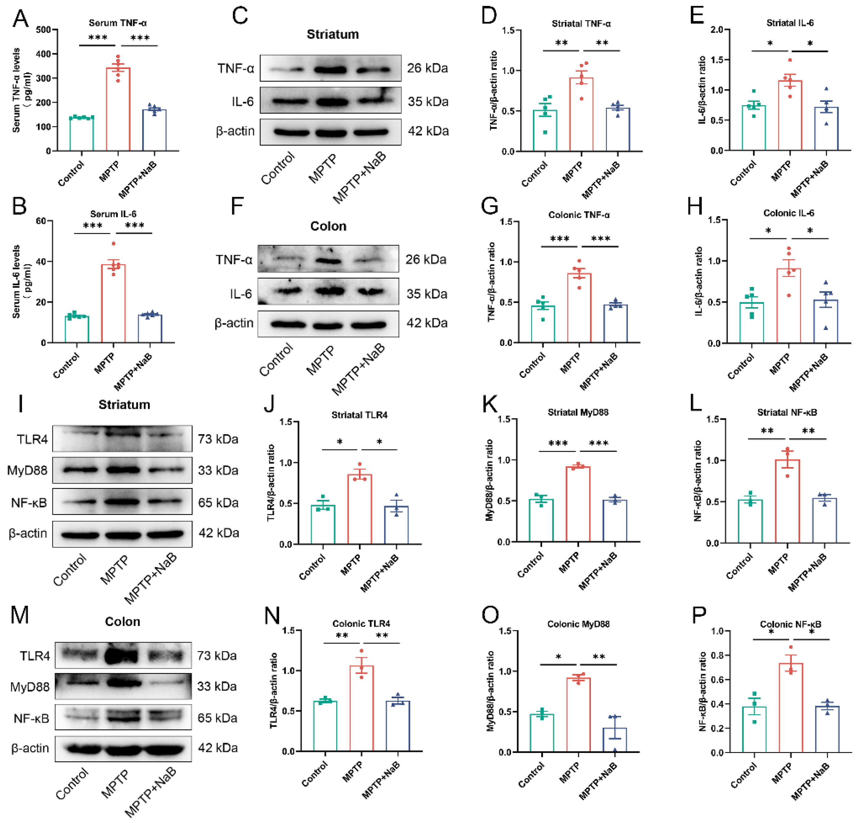 Nutrients 15 00930 g007 Nutrients 15 00930 g007
