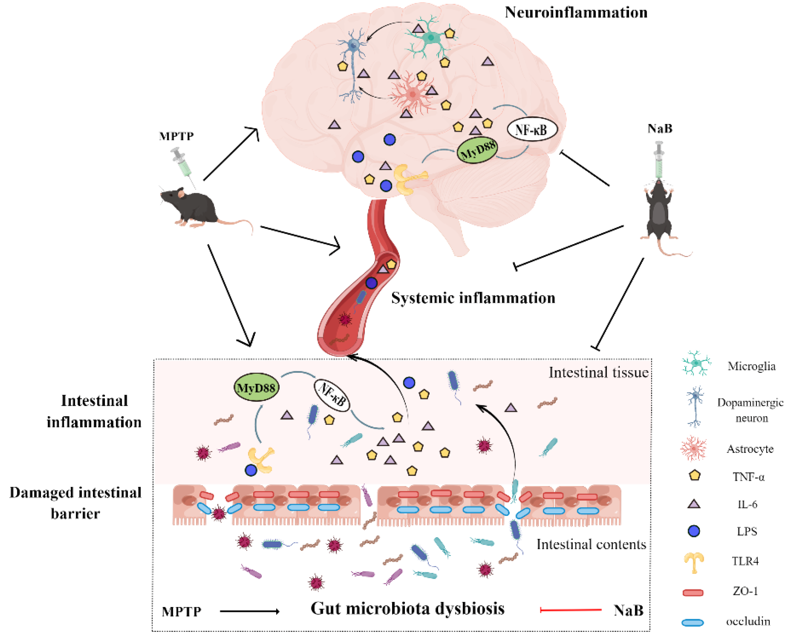 Nutrients 15 00930 g008 Nutrients 15 00930 g008