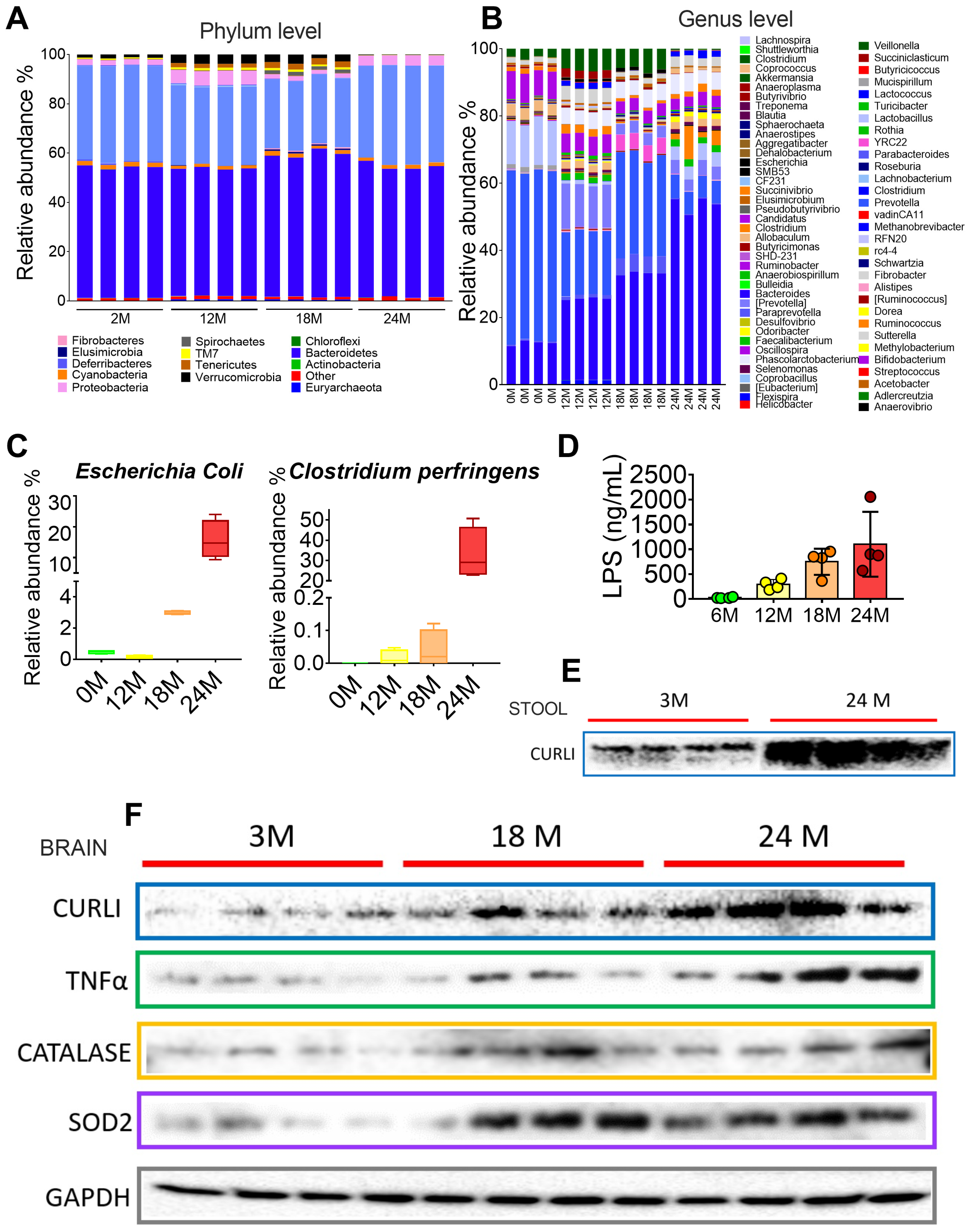 Nutrients 15 00932 g005 Nutrients 15 00932 g005