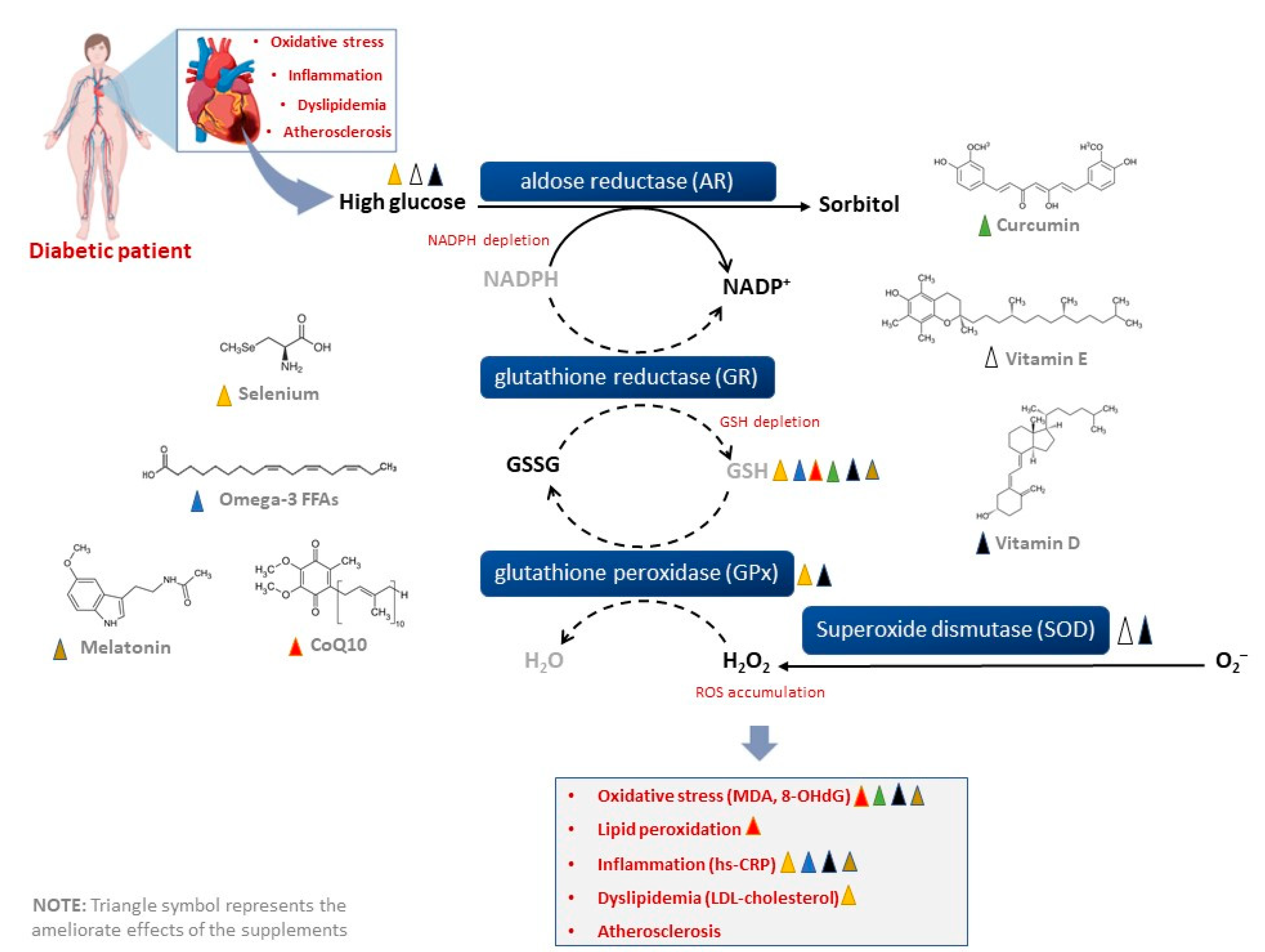 Nutrients 15 00944 g003 Nutrients 15 00944 g003