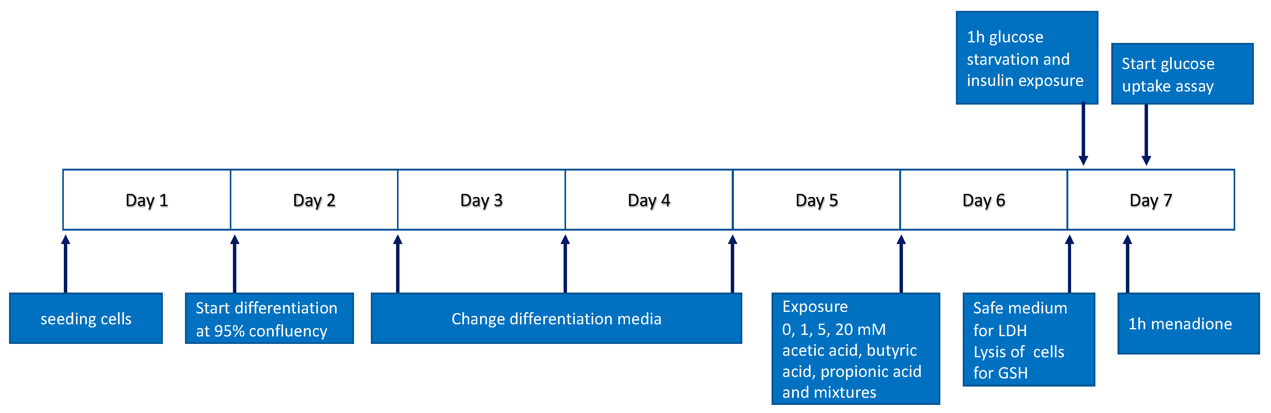 Nutrients 15 00946 g001 Nutrients 15 00946 g001