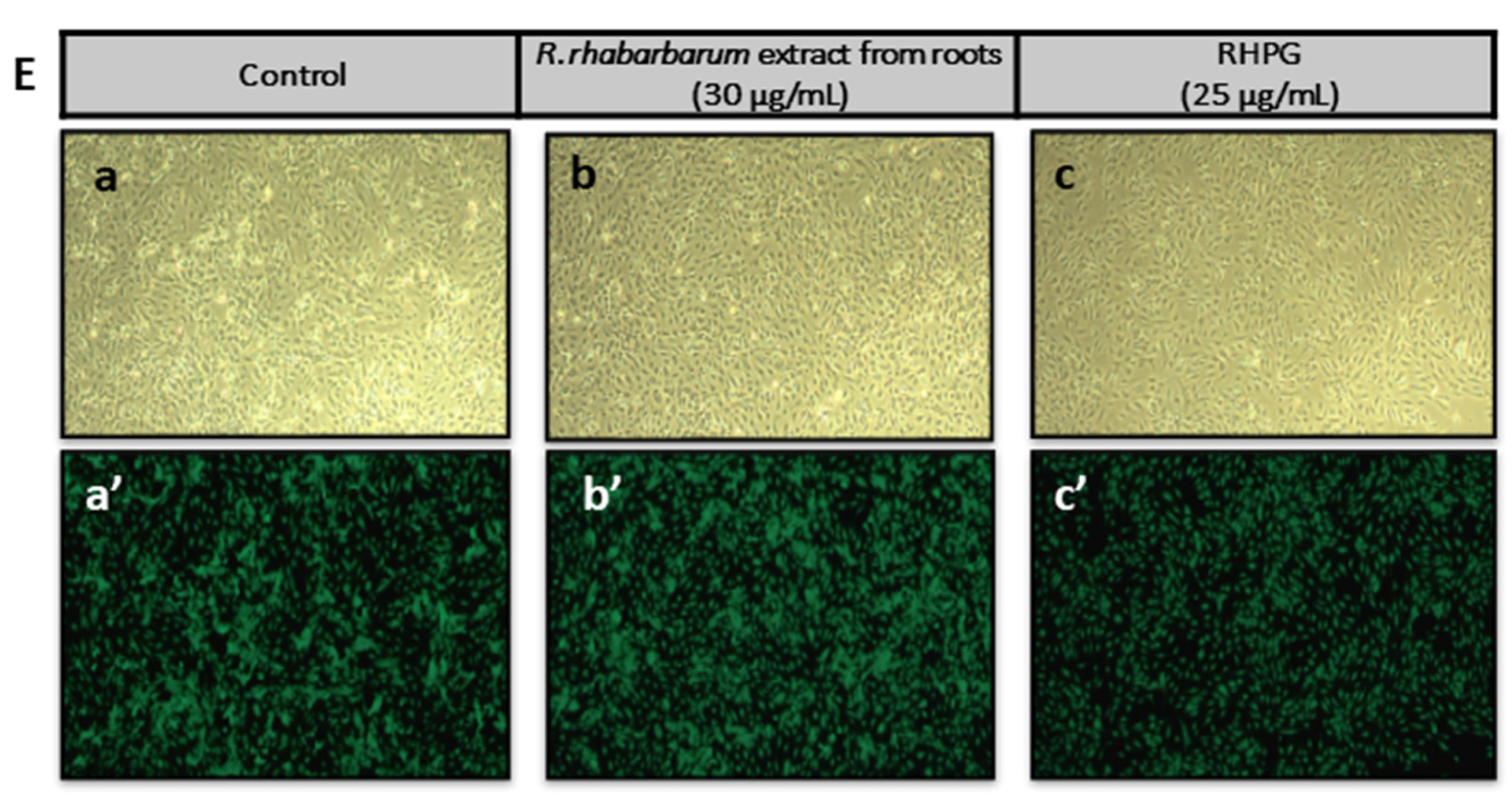 Nutrients 15 00949 g002b Nutrients 15 00949 g002b