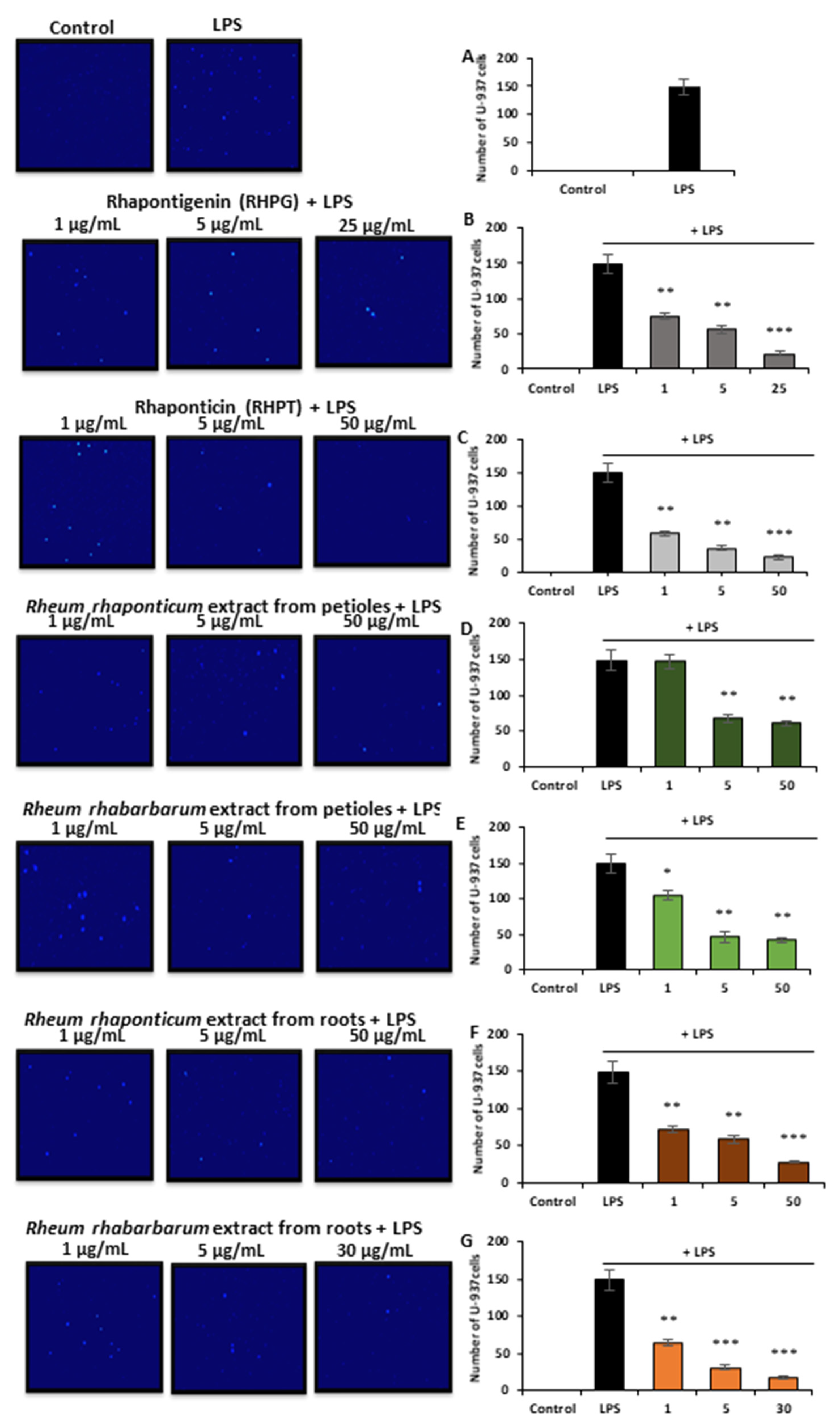 Nutrients 15 00949 g004 Nutrients 15 00949 g004