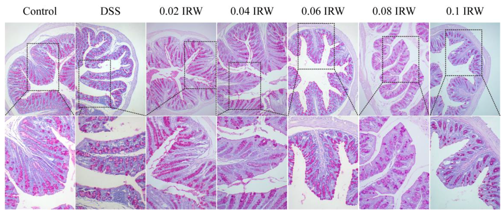 Nutrients 15 00953 g003 Nutrients 15 00953 g003