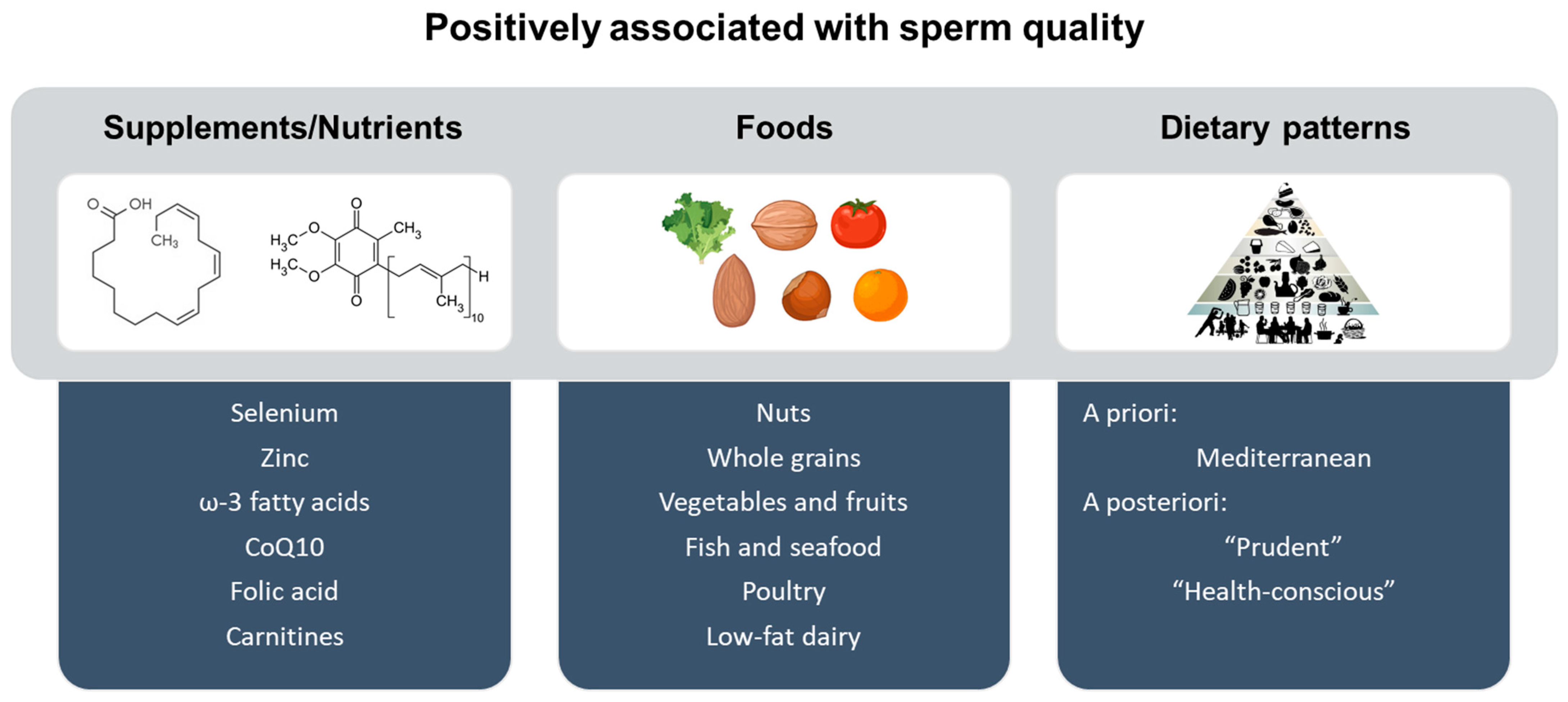 Nutrients 15 00955 g003 Nutrients 15 00955 g003