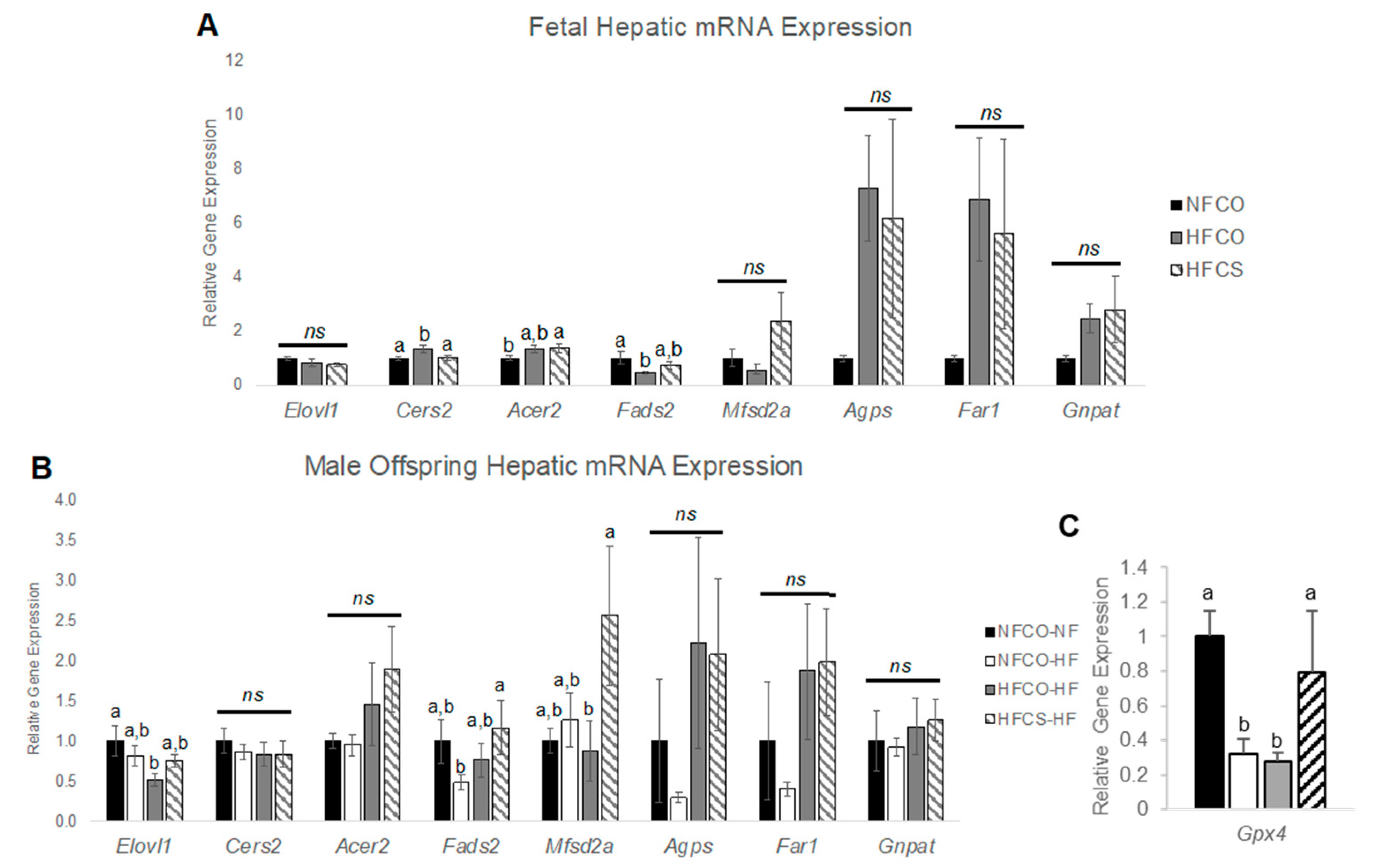 Nutrients 15 00965 g006