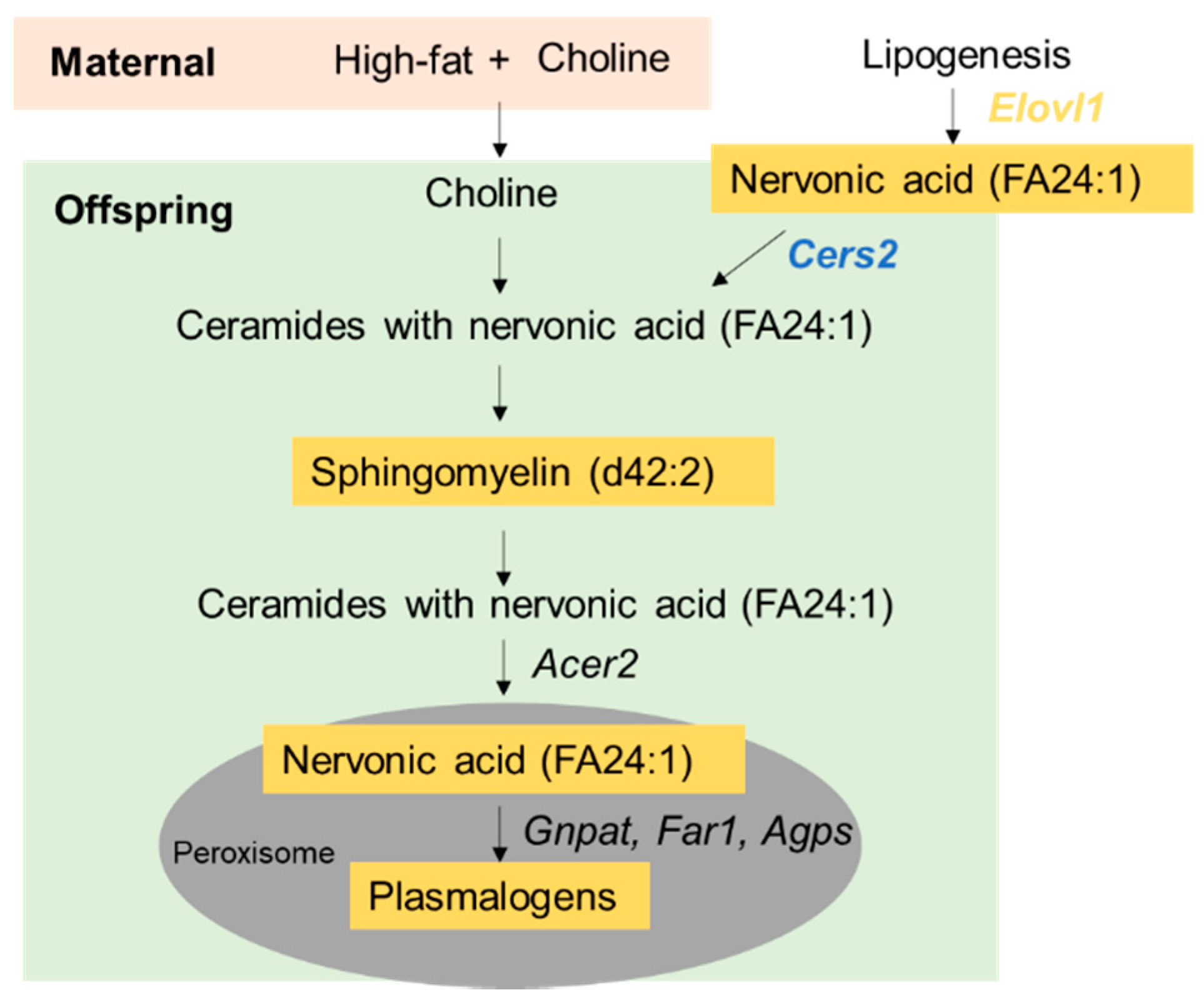 Nutrients 15 00965 g007