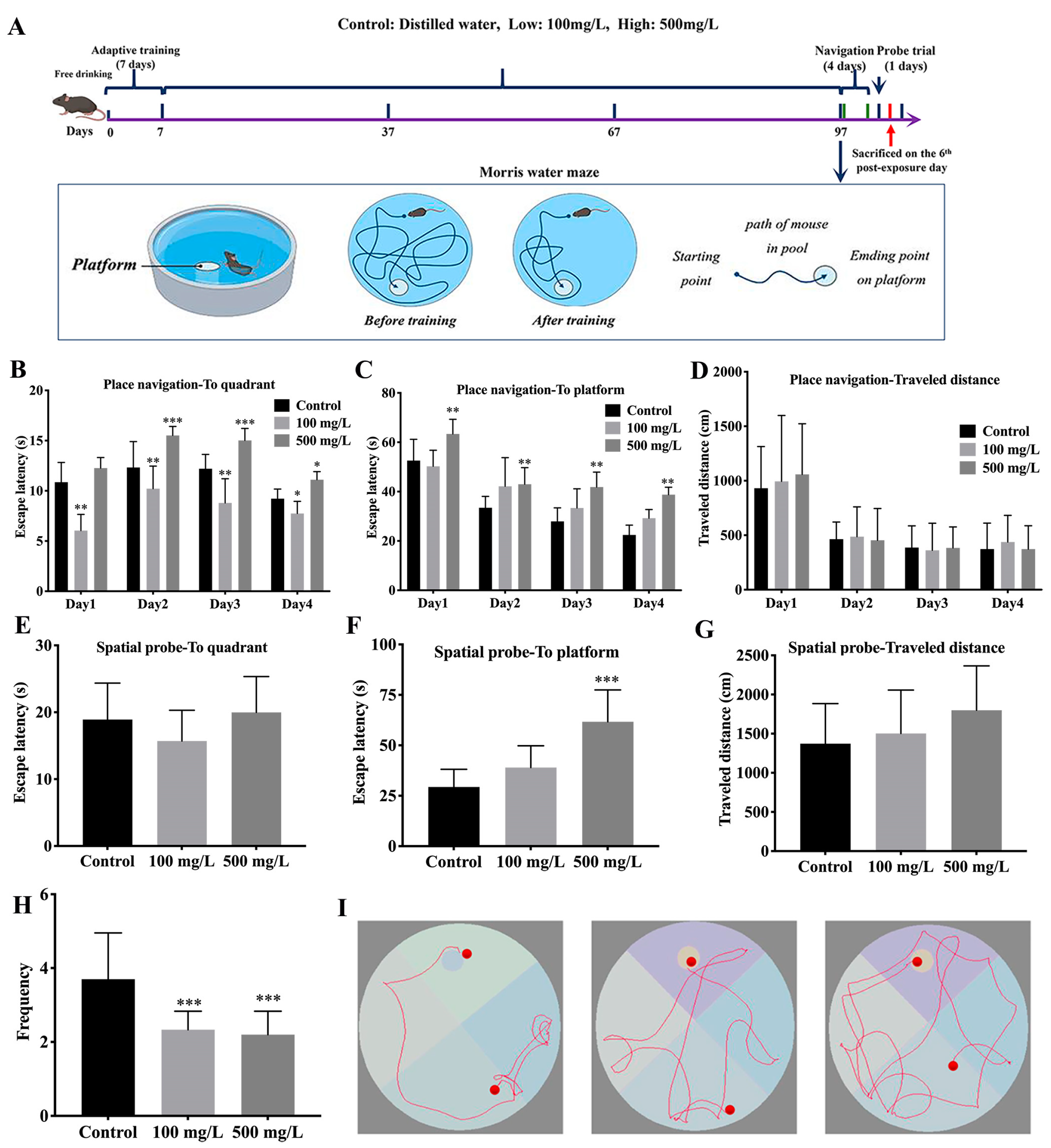 Nutrients 15 00972 g001