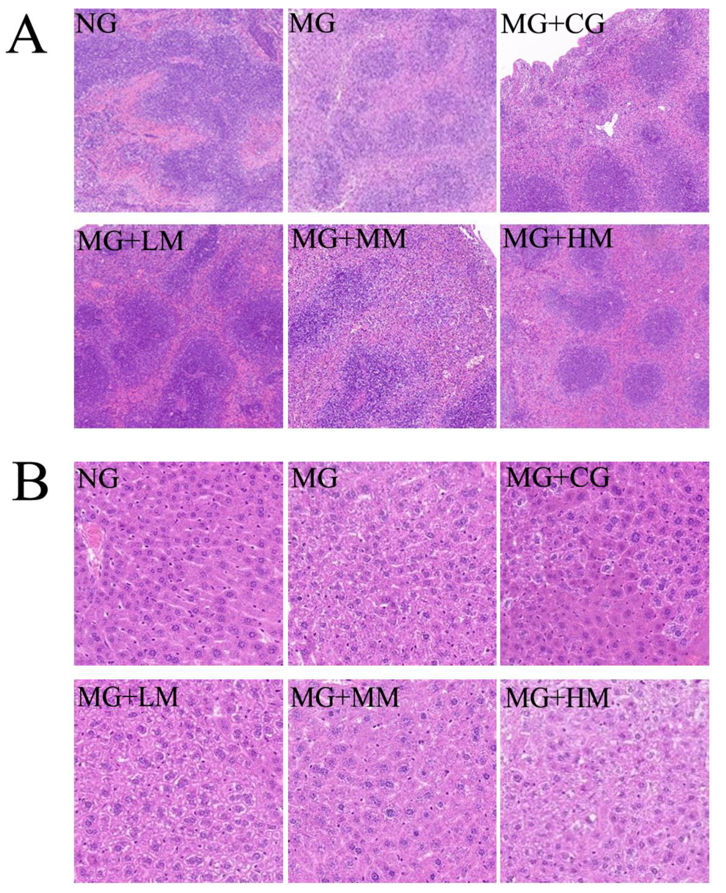 Nutrients 15 00974 g004