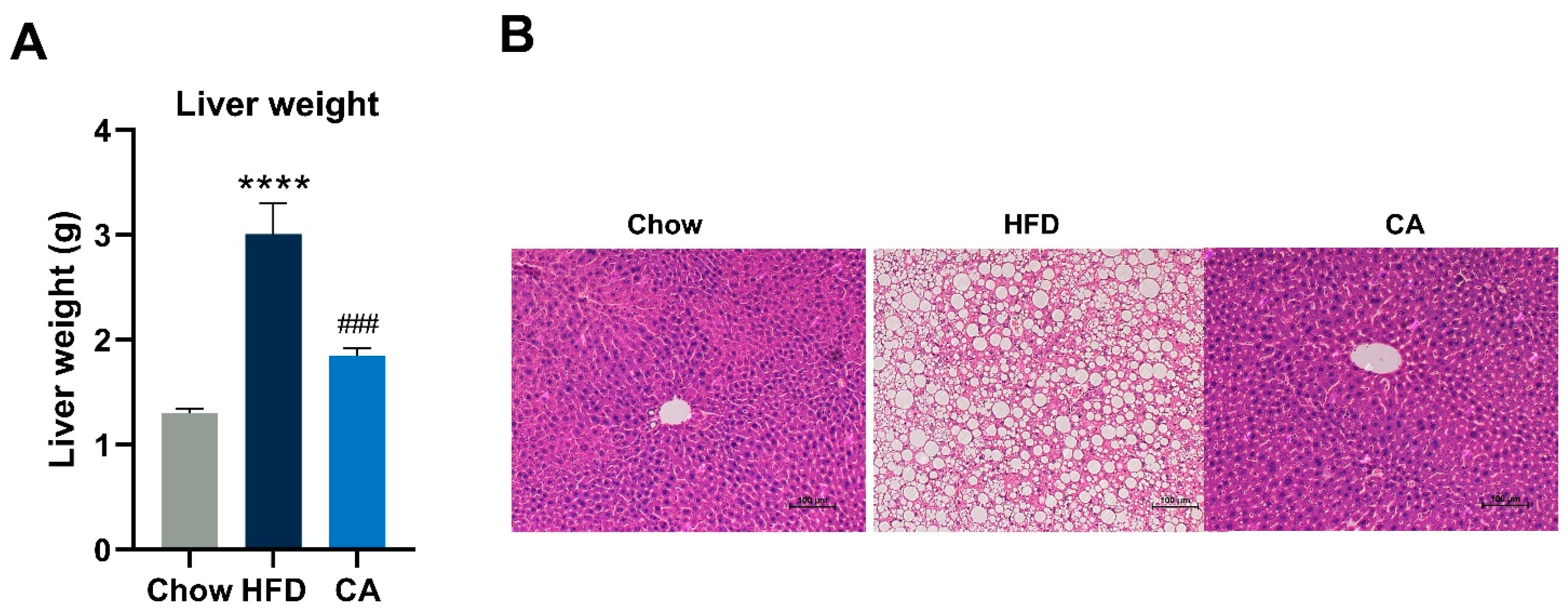 Nutrients 15 00980 g005 Nutrients 15 00980 g005