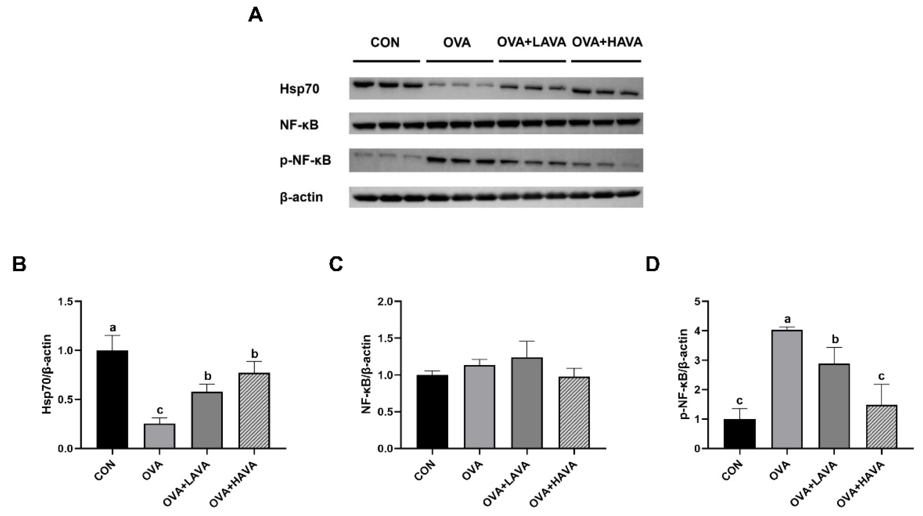 Nutrients 15 00992 g002 Nutrients 15 00992 g002