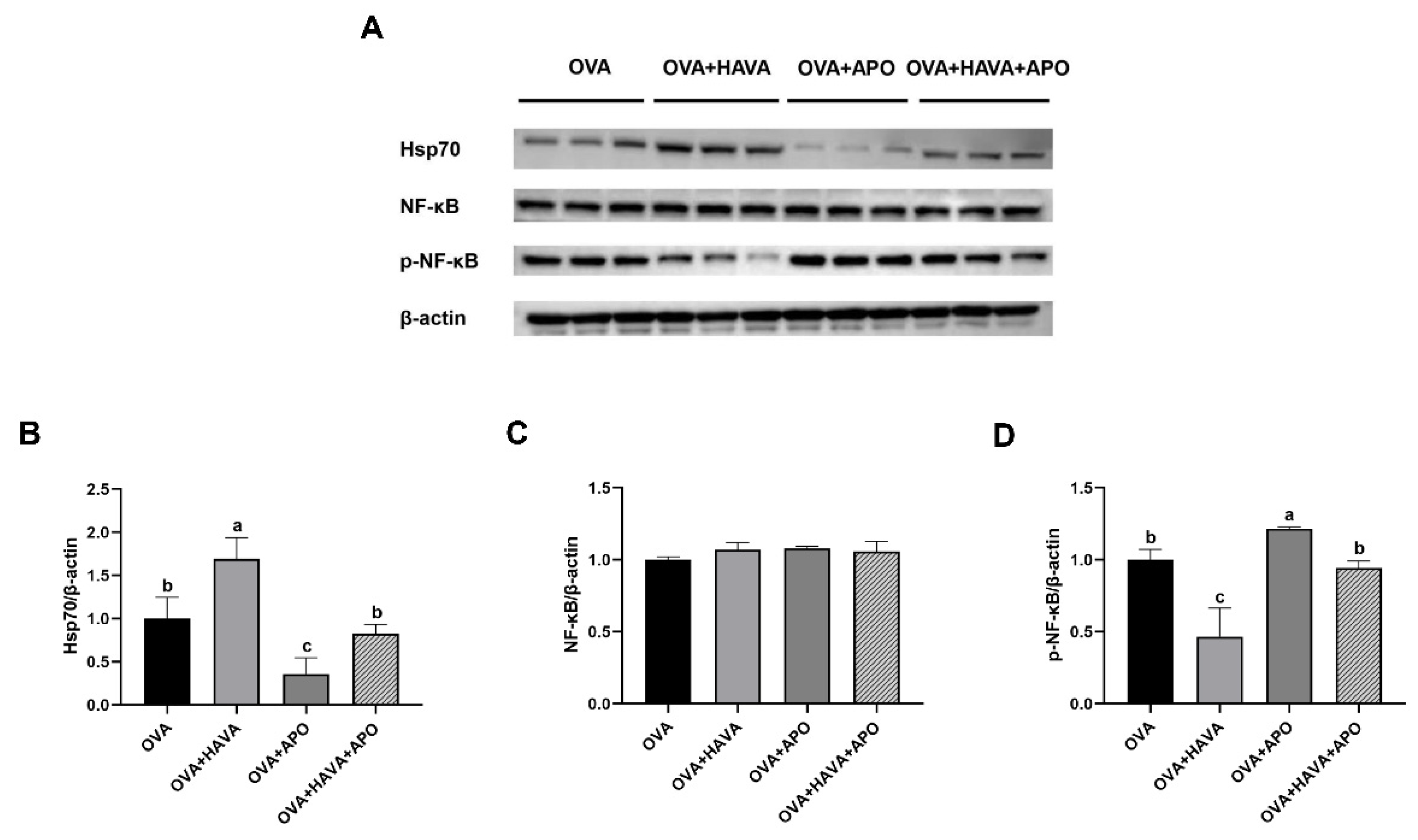 Nutrients 15 00992 g003 Nutrients 15 00992 g003