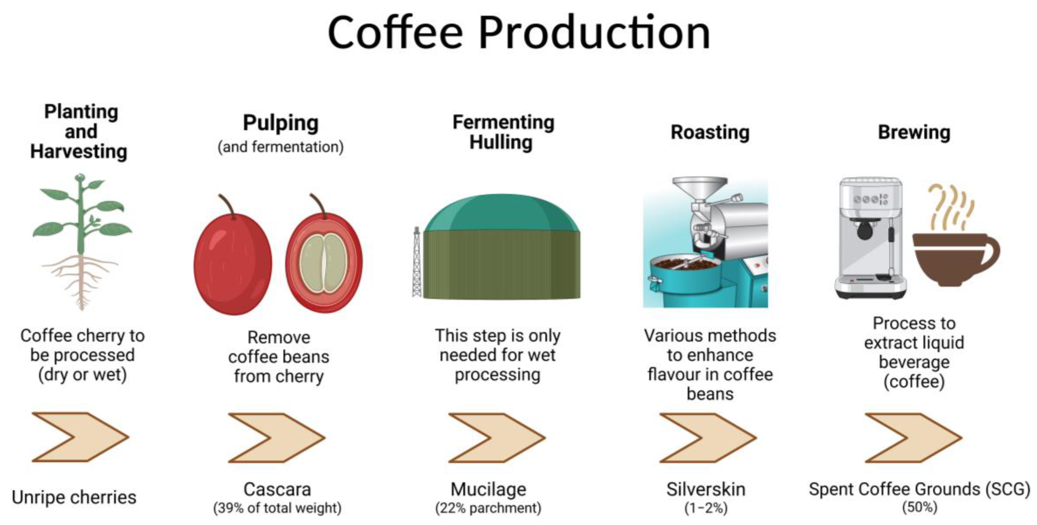 roast color scale  Coffee infographic, Coffee roasting, Coffee beans