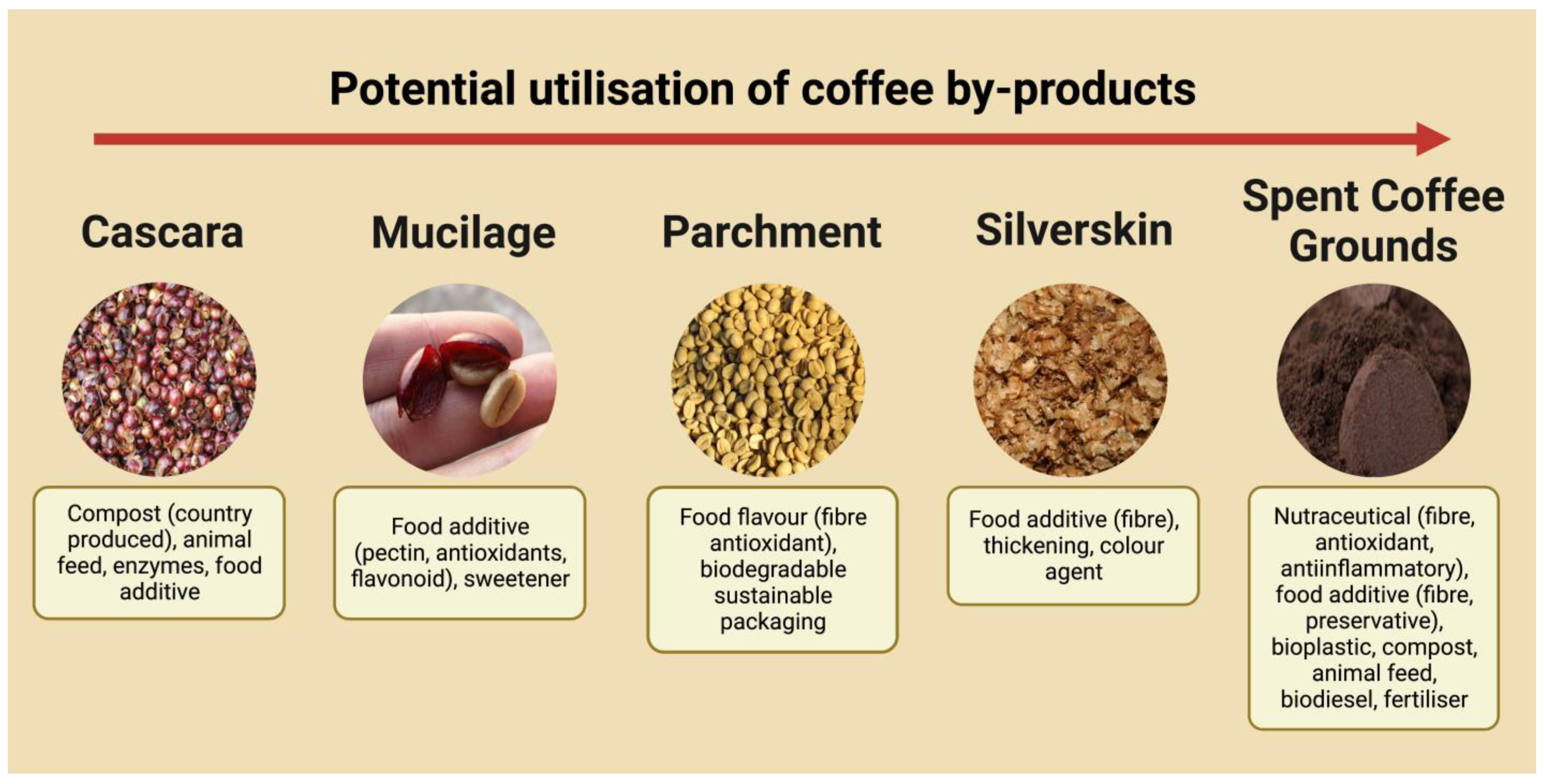 Complete Utilization of Spent Coffee Grounds To Produce Biodiesel, Bio-Oil,  and Biochar