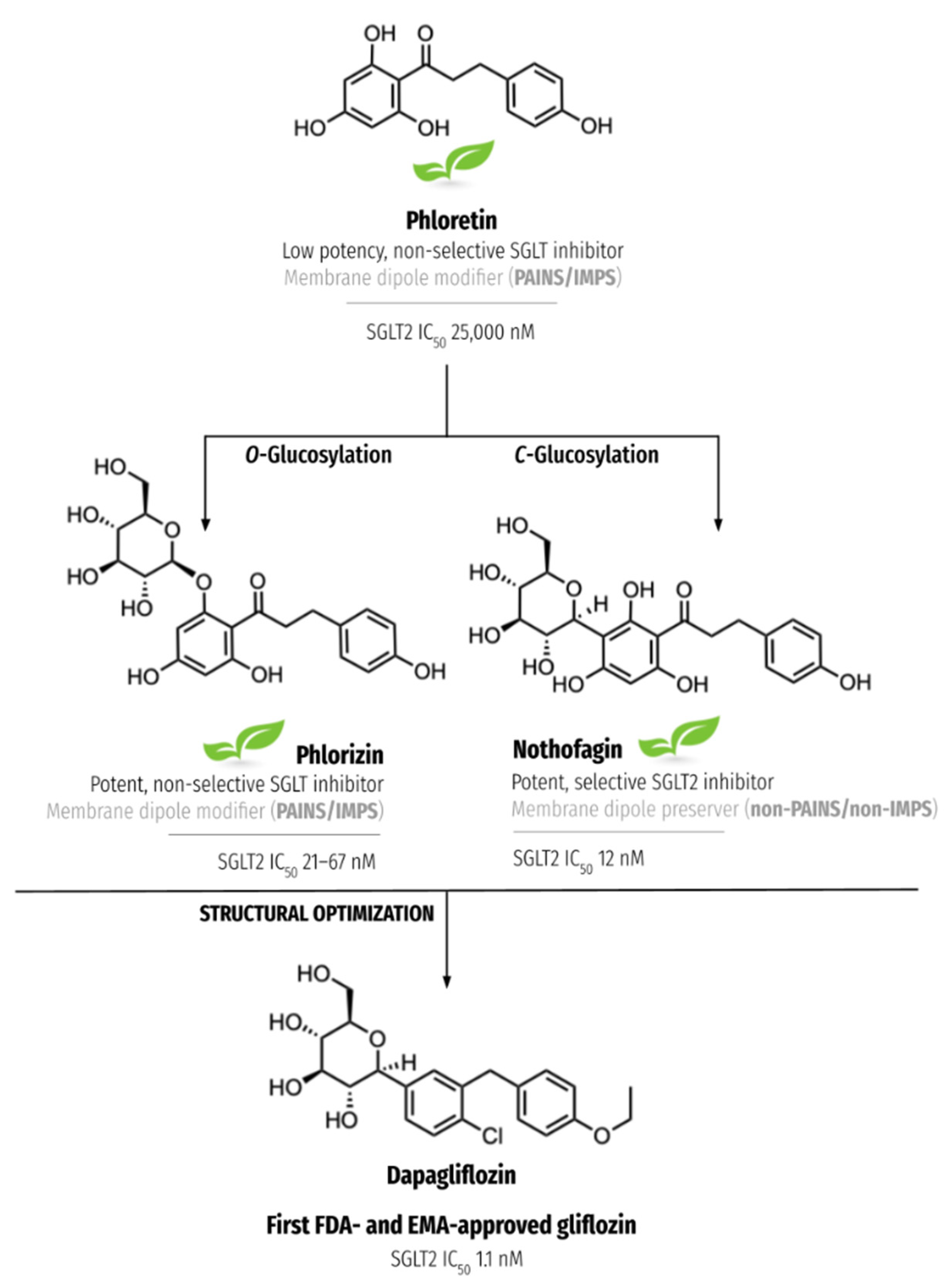 Nutrients 15 00996 g001 Nutrients 15 00996 g001