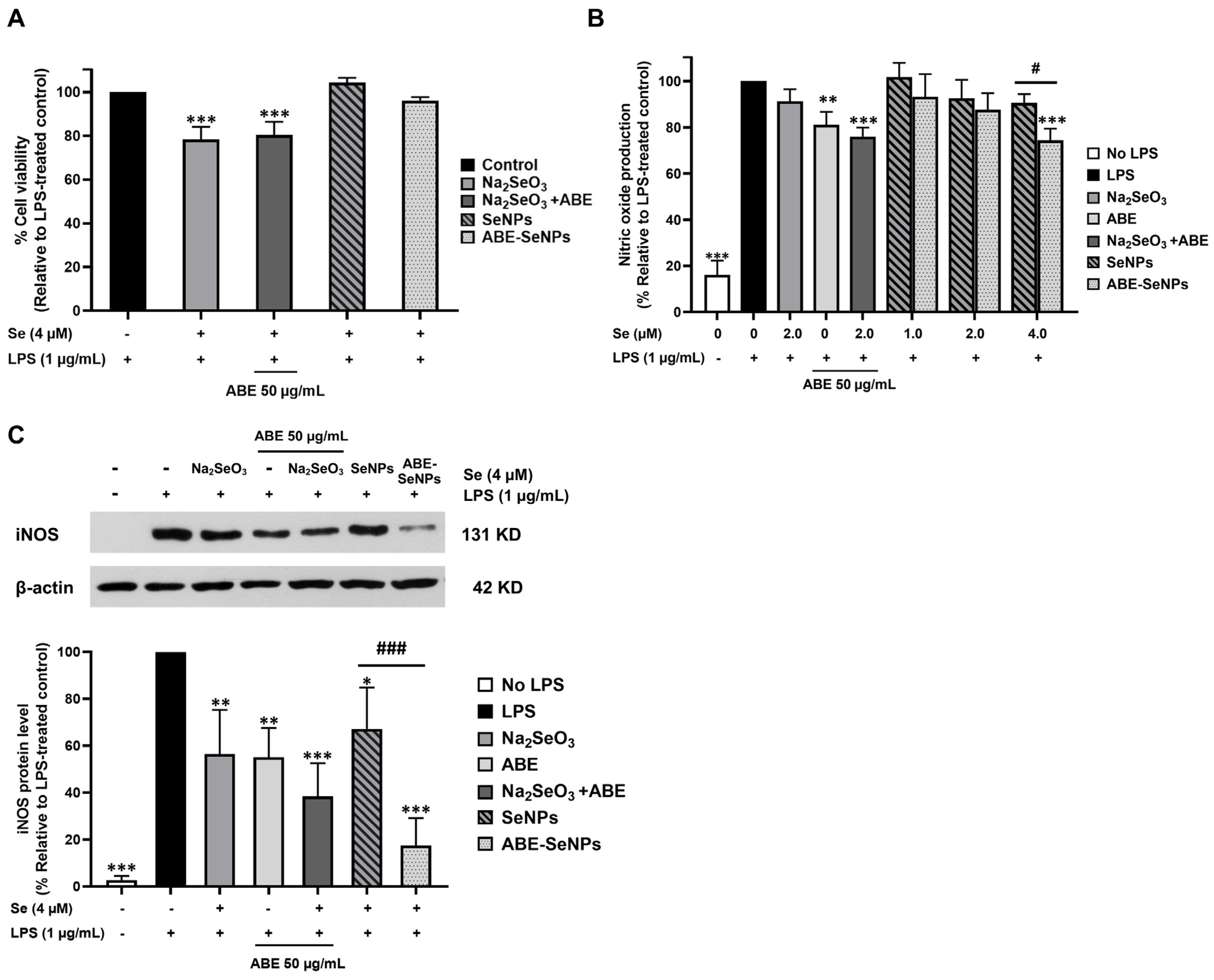 Nutrients 15 01018 g003 Nutrients 15 01018 g003