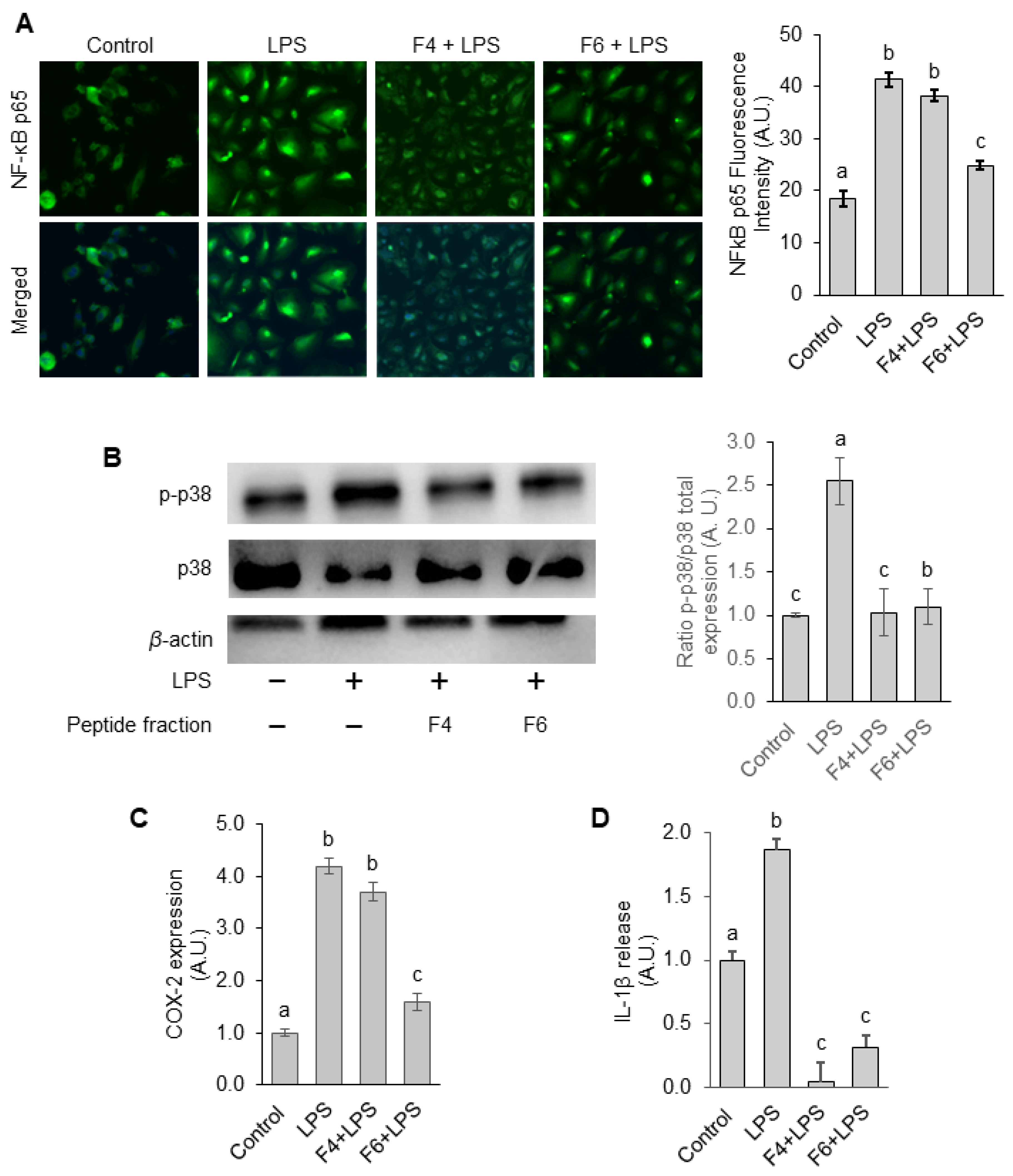 Nutrients 15 01035 g005 Nutrients 15 01035 g005