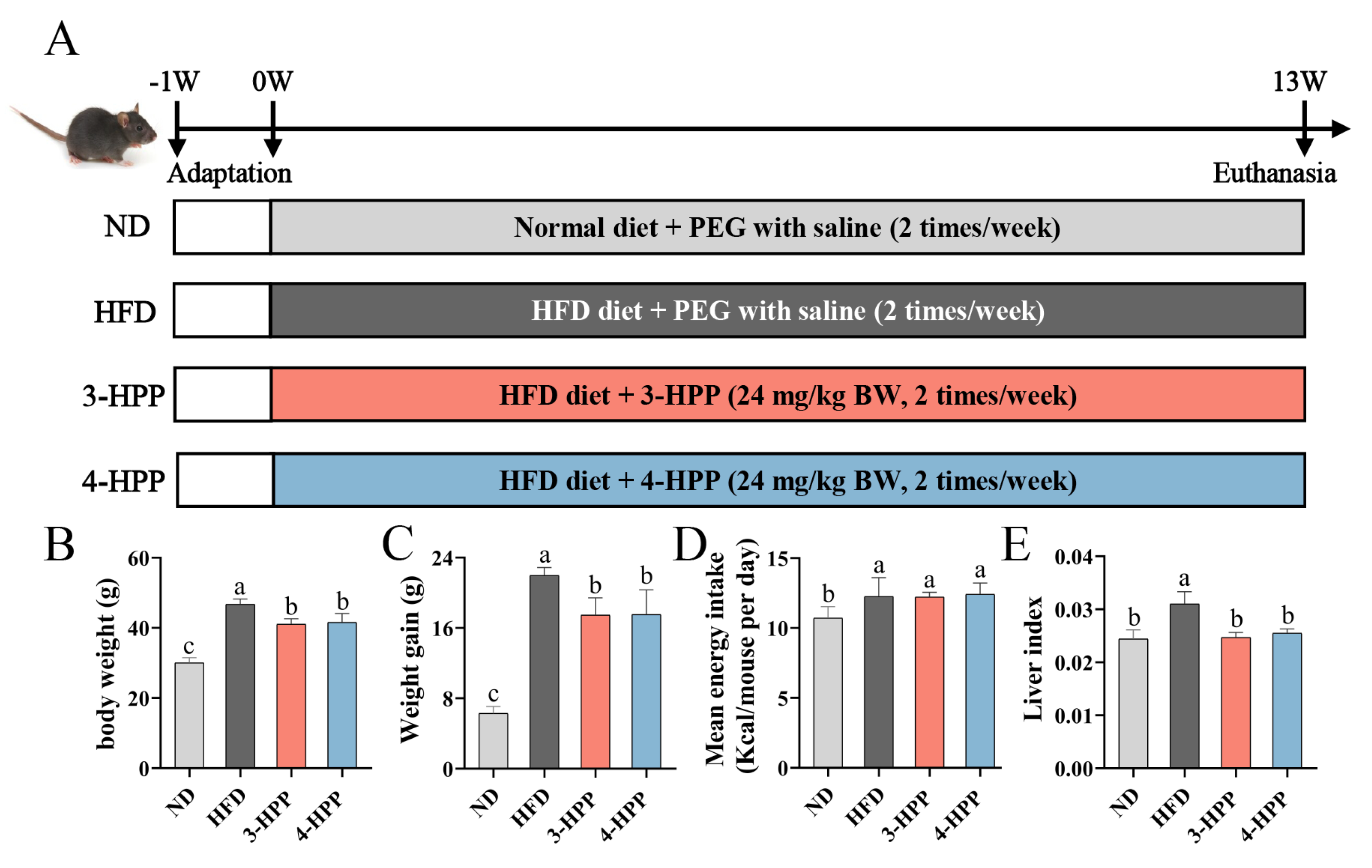 Nutrients 15 01043 g001