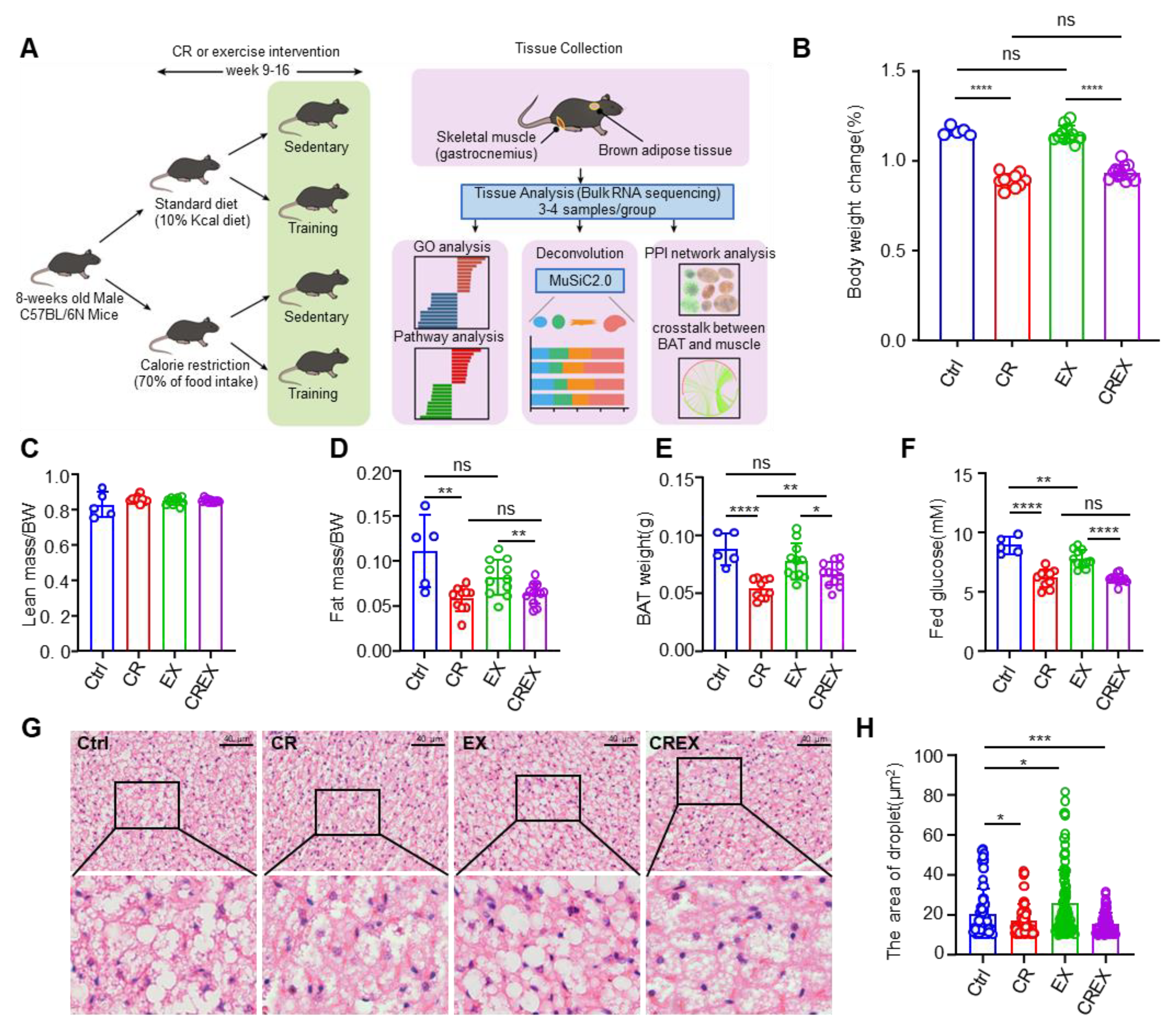 Nutrients 15 01047 g001 Nutrients 15 01047 g001