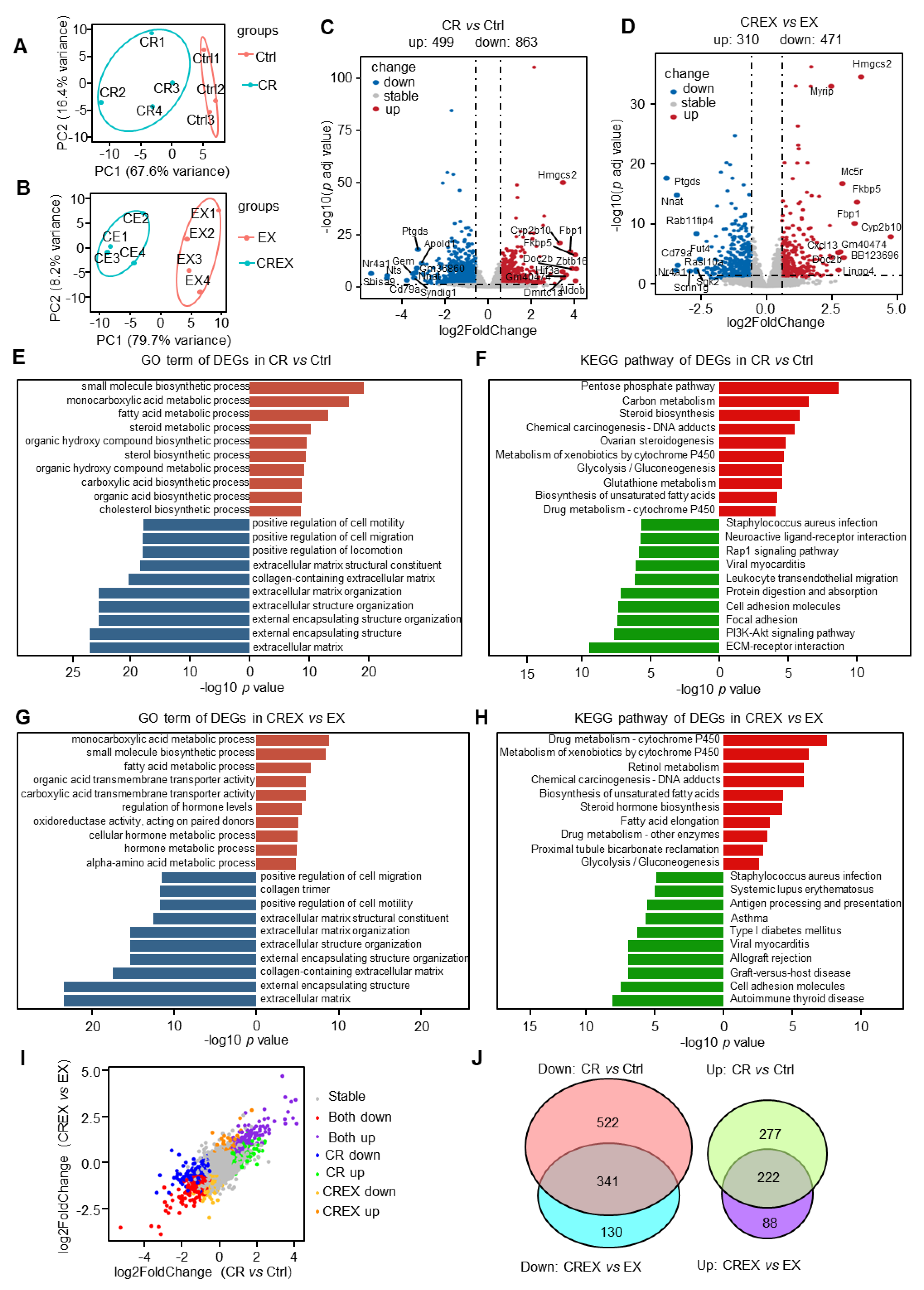 Nutrients 15 01047 g002 Nutrients 15 01047 g002