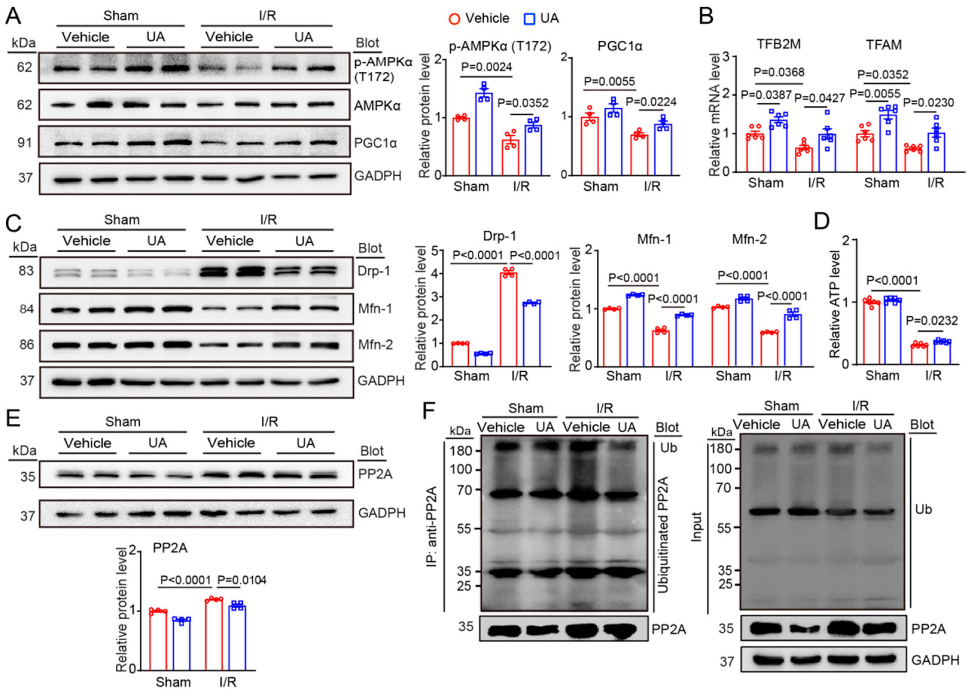 Nutrients 15 01049 g004