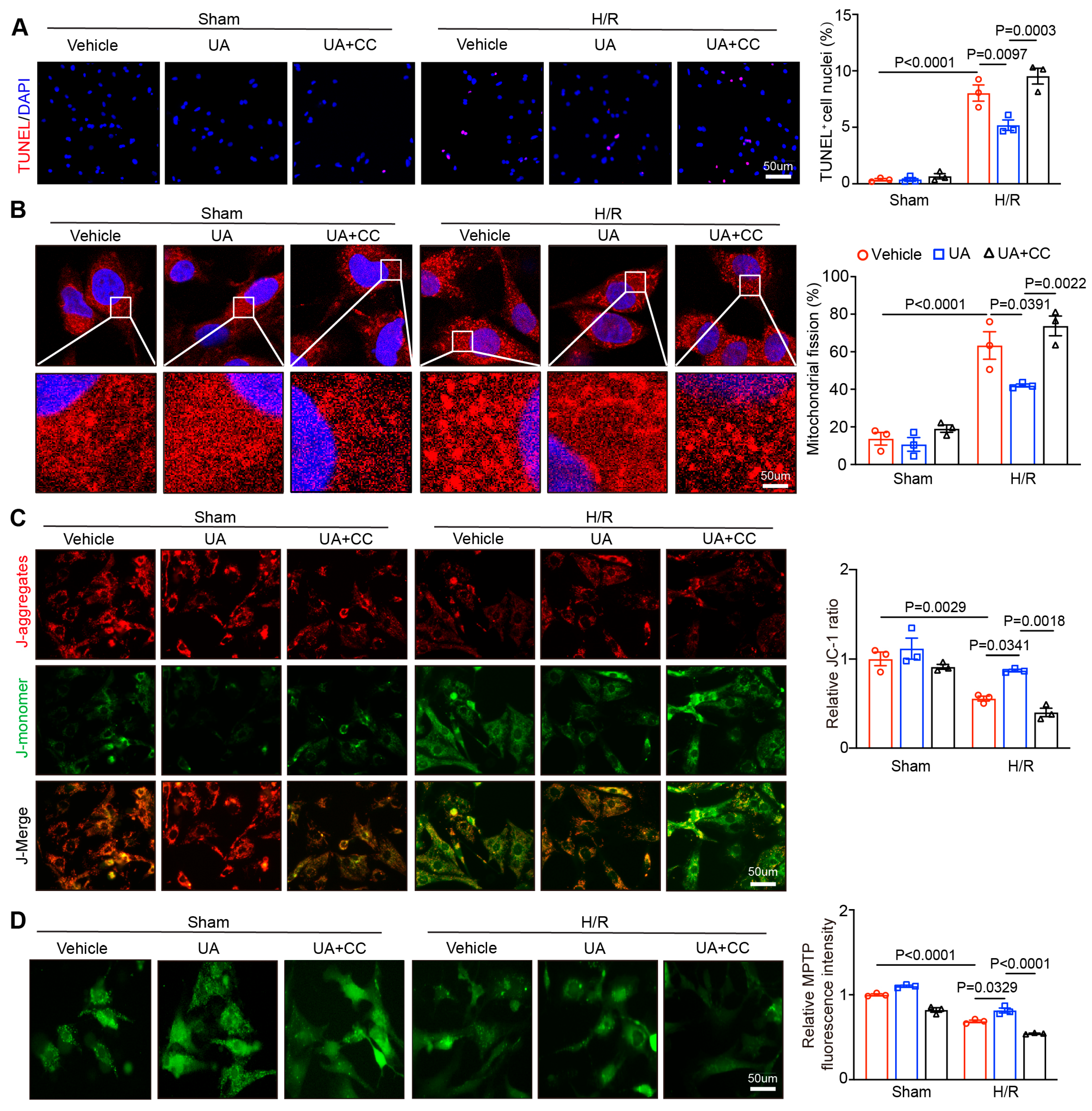 Nutrients 15 01049 g005