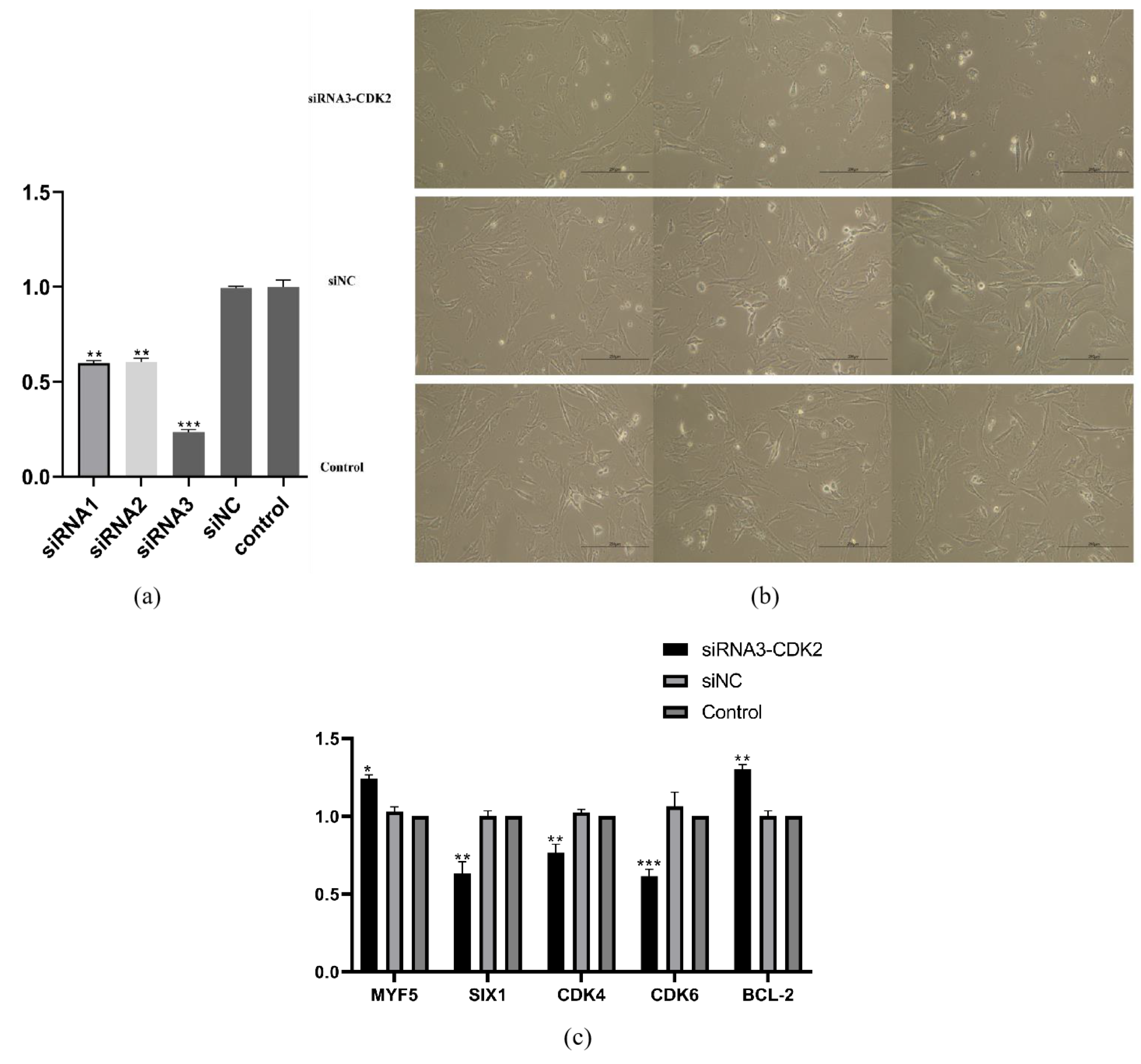 Nutrients 15 01051 g007