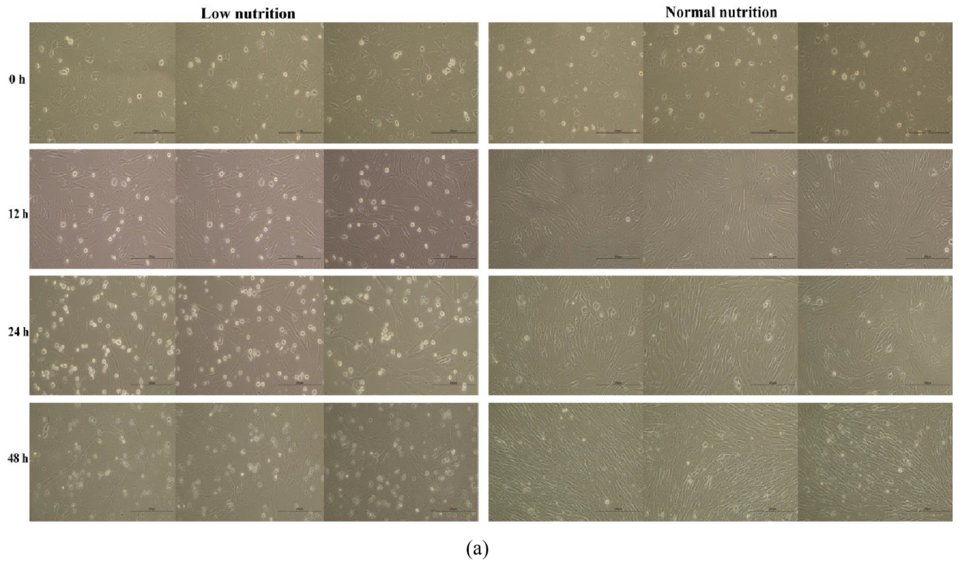 Nutrients 15 01051 g008a