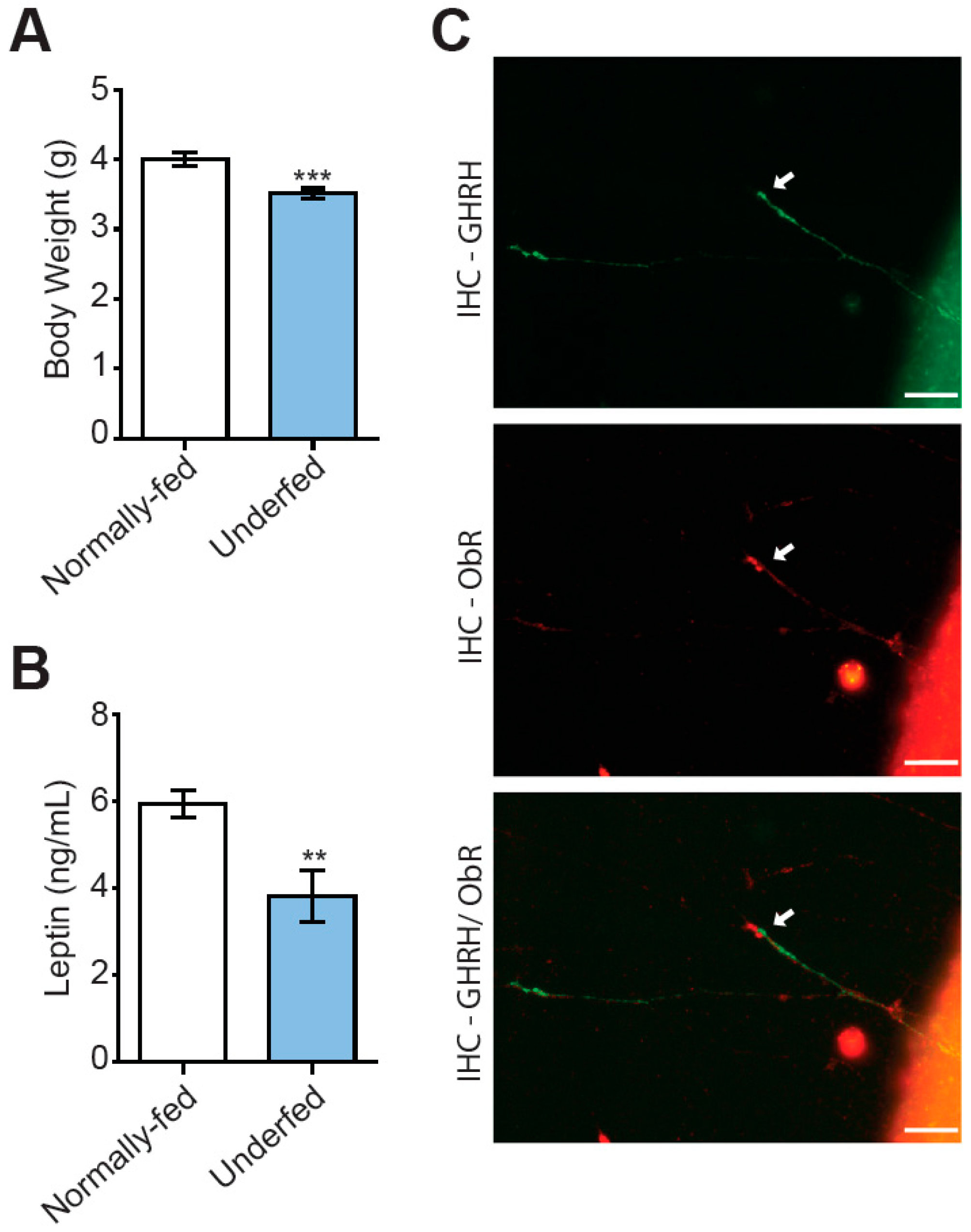 Nutrients 15 01077 g001 Nutrients 15 01077 g001