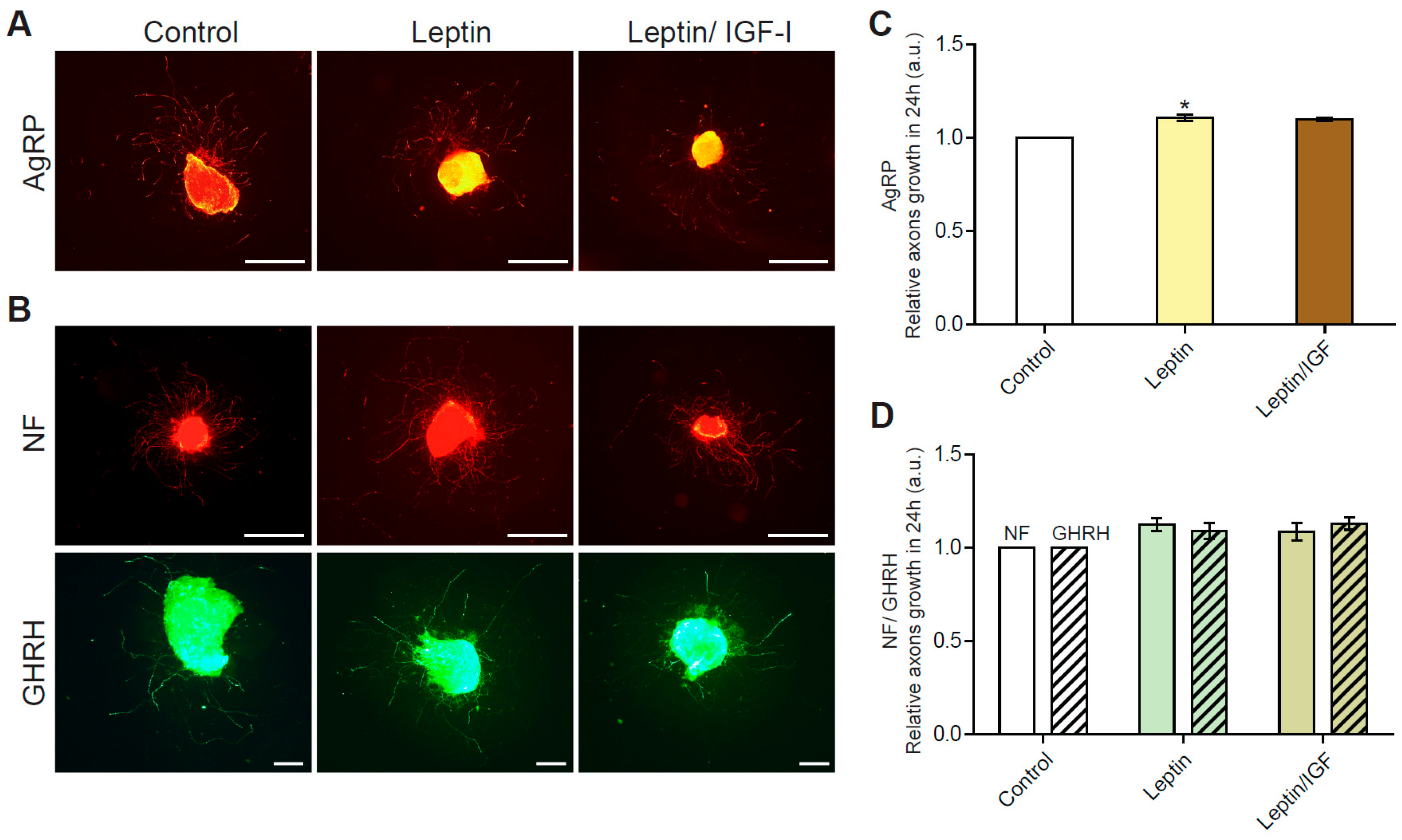Nutrients 15 01077 g004 Nutrients 15 01077 g004