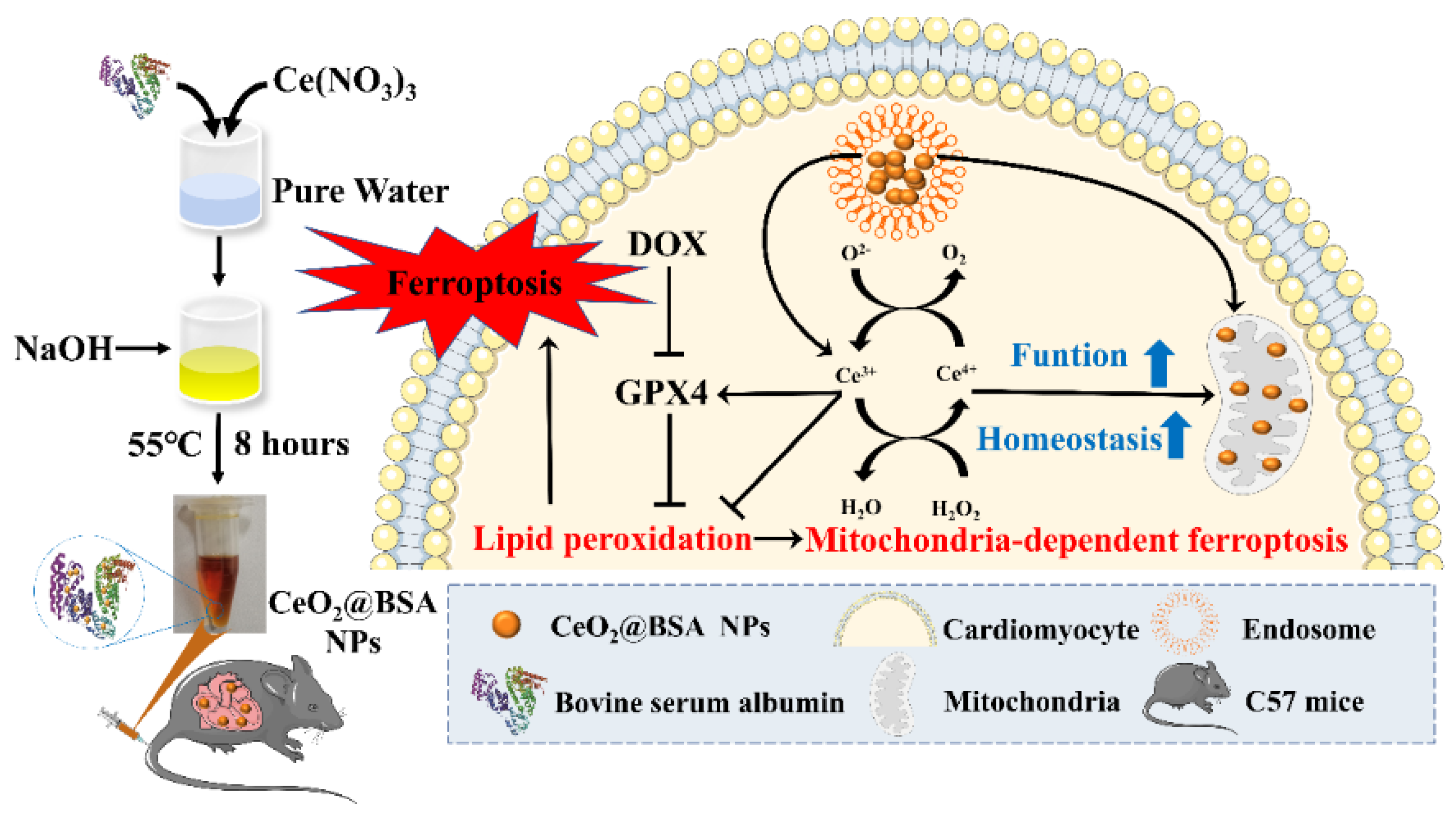 Nutrients 15 01090 g001