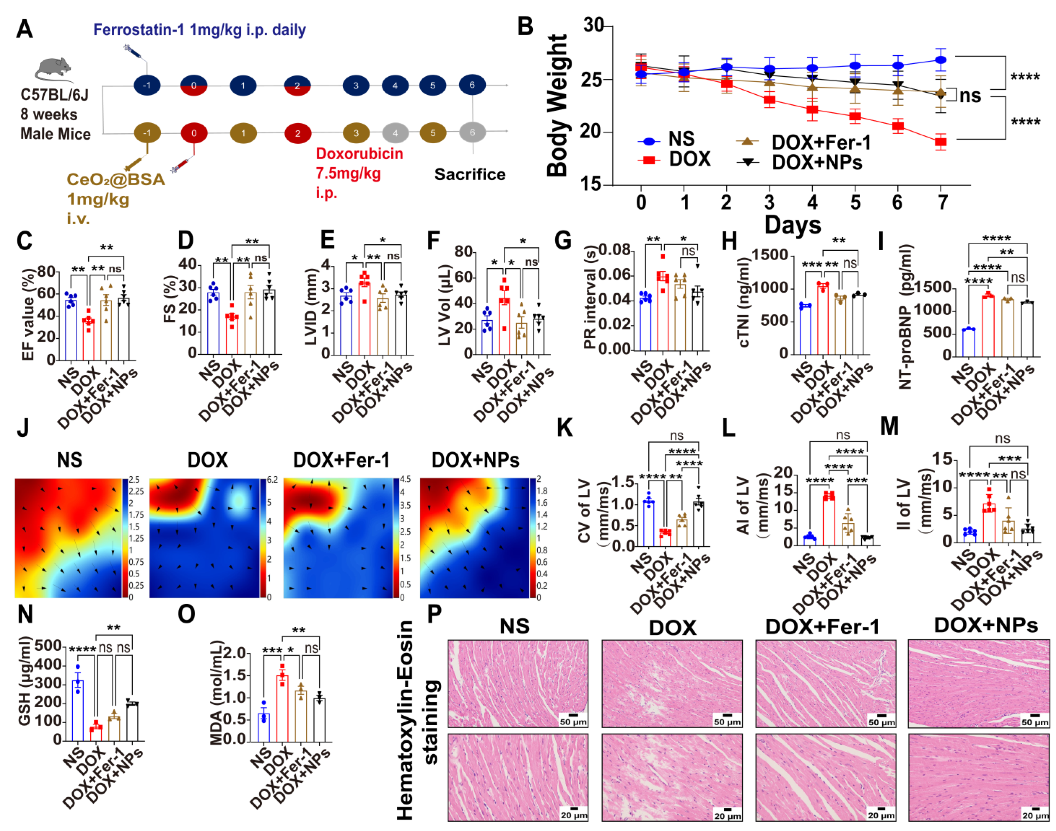 Nutrients 15 01090 g005