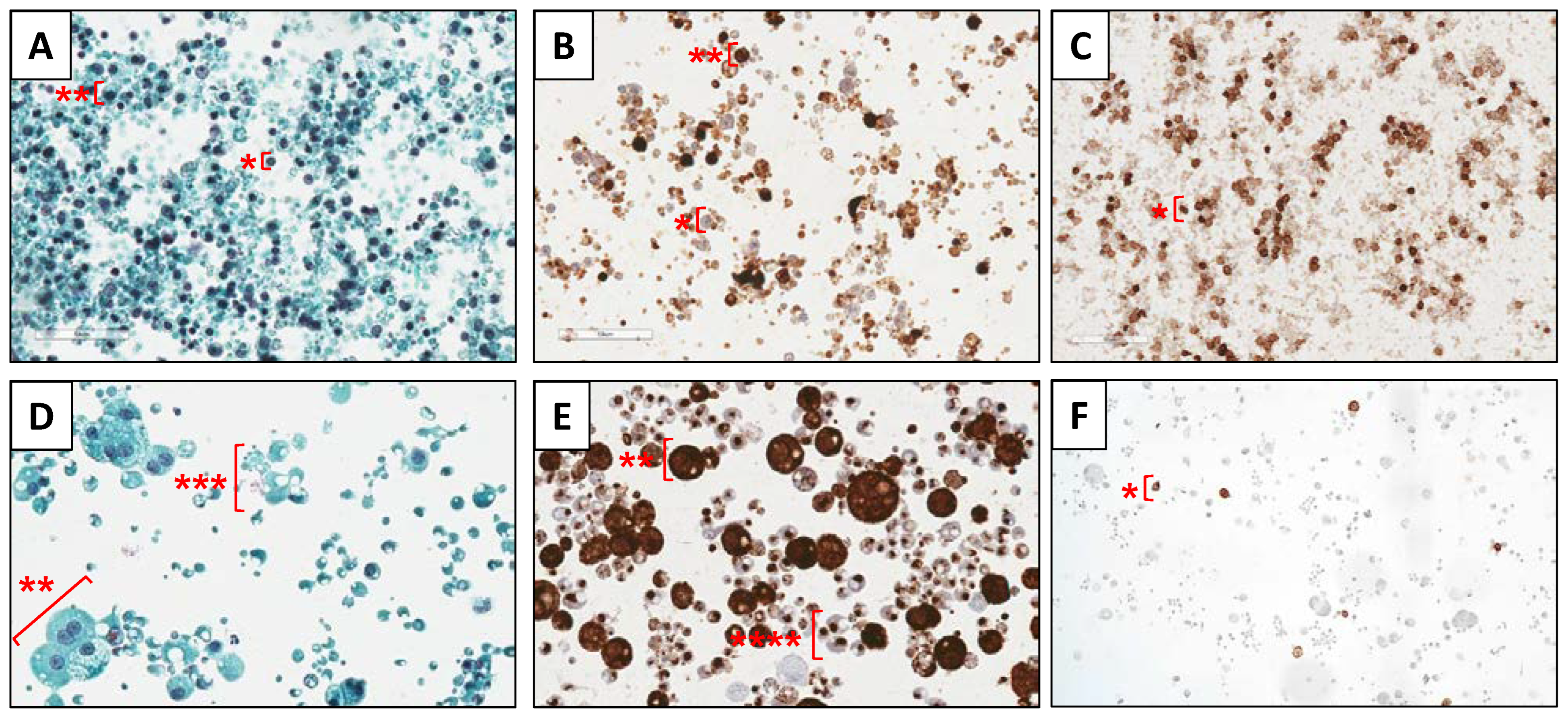 Nutrients 15 01100 g001 Nutrients 15 01100 g001