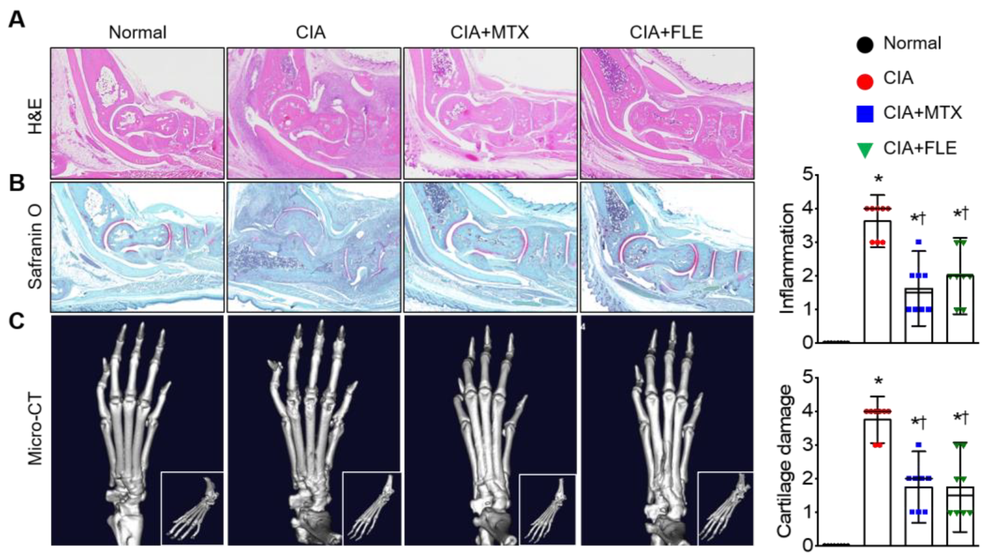 Nutrients 15 01106 g002
