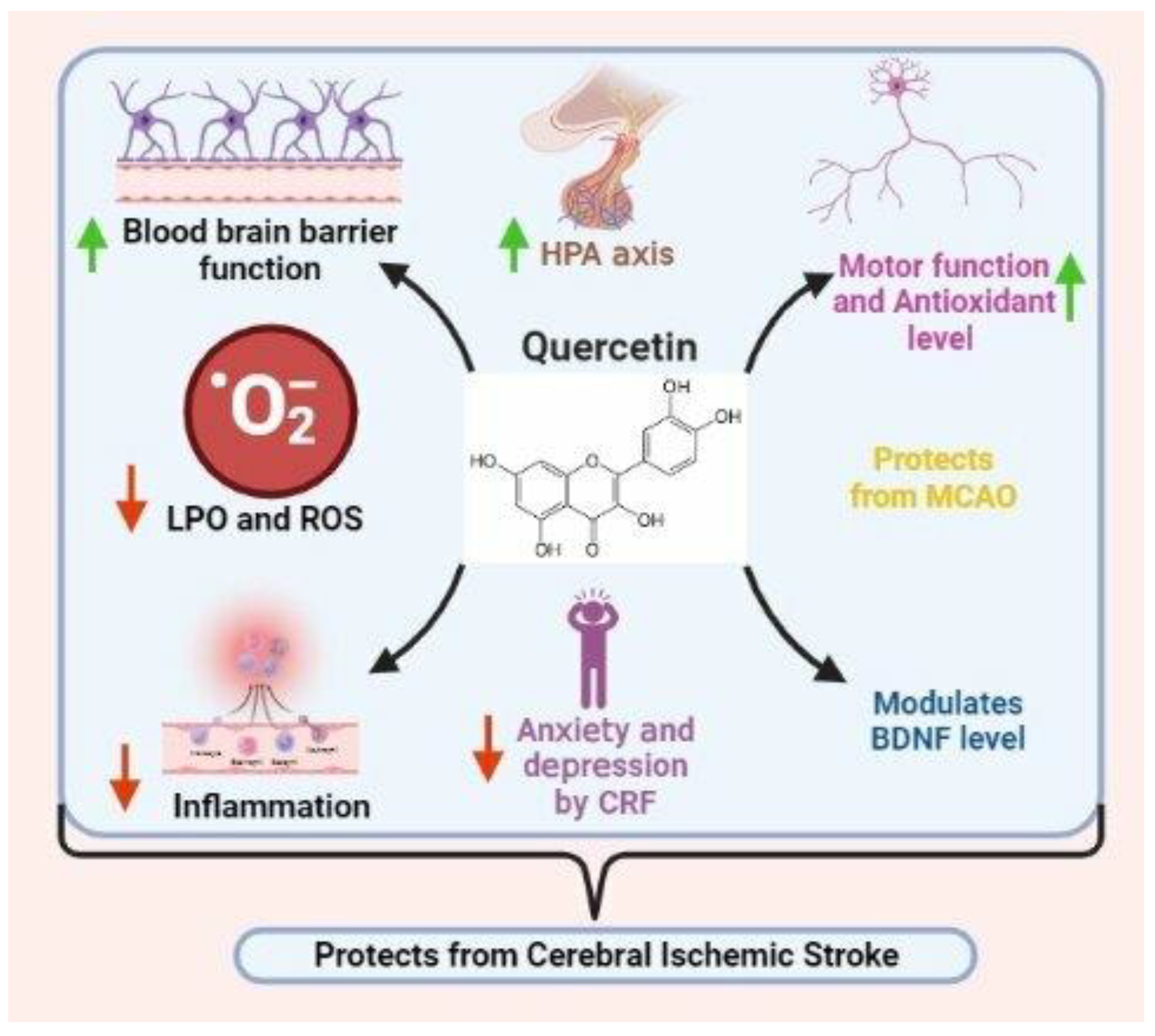 Nutrients 15 01107 g003