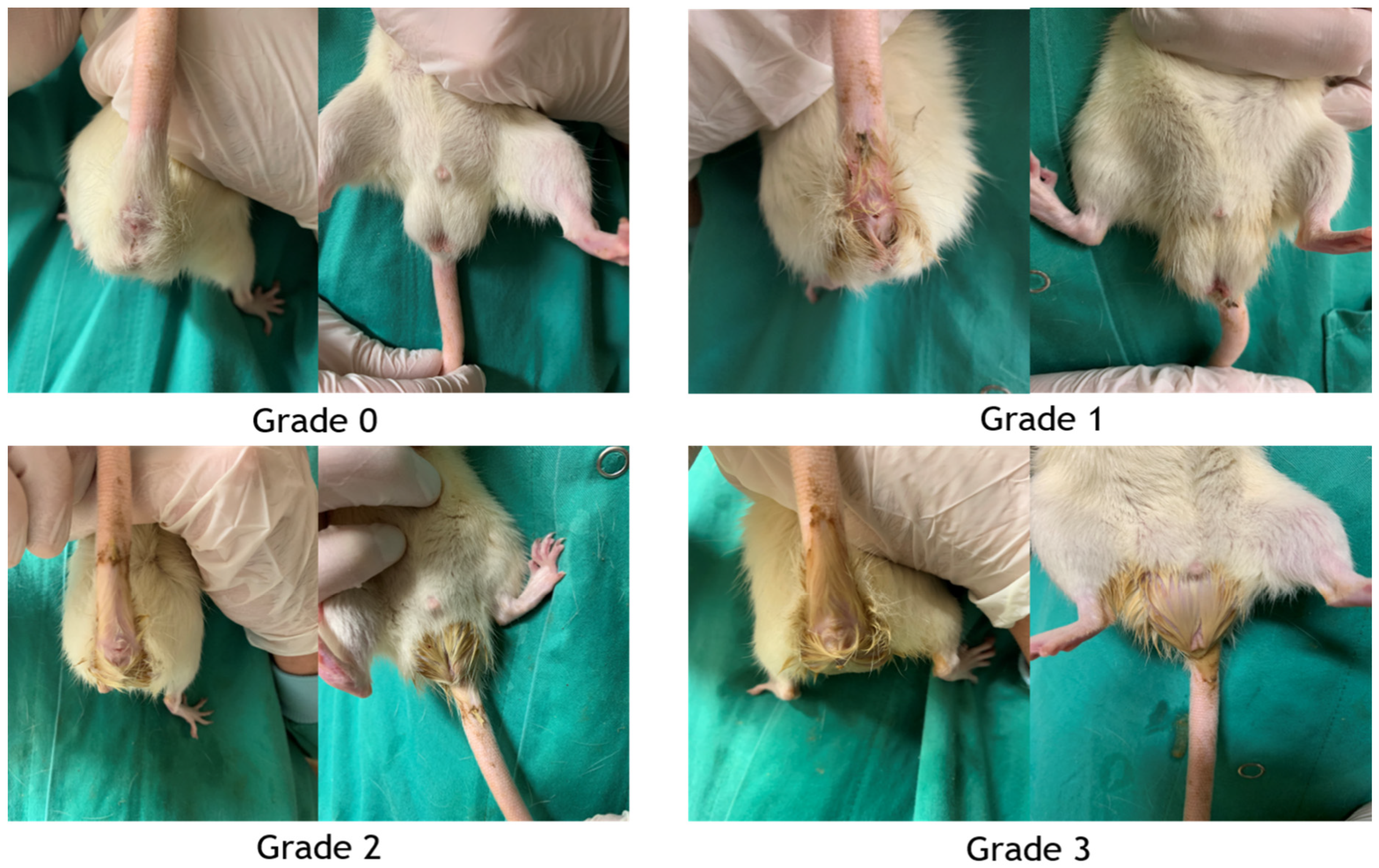 Nutrients 15 01117 g003 Nutrients 15 01117 g003