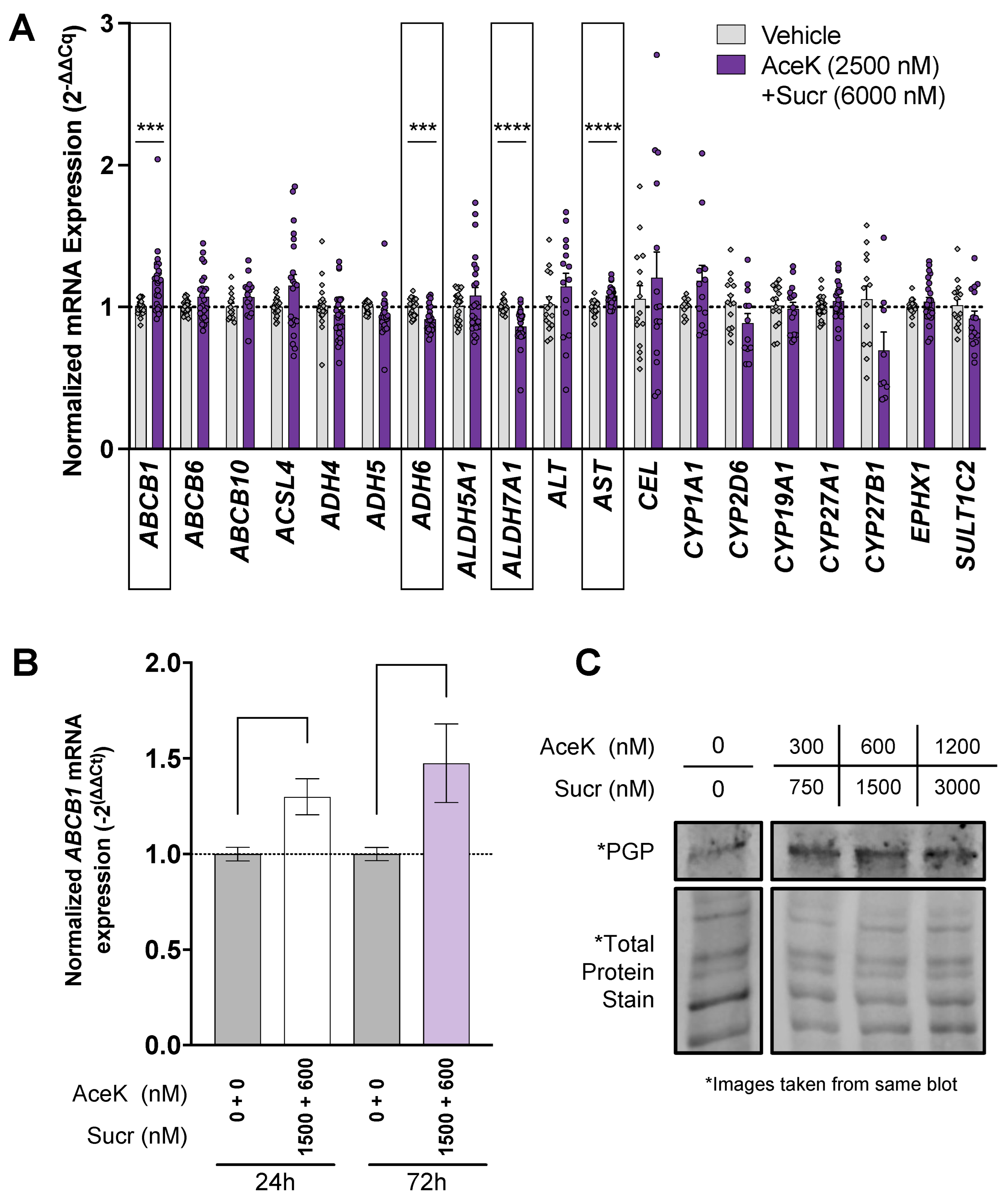 Nutrients 15 01118 g001 Nutrients 15 01118 g001