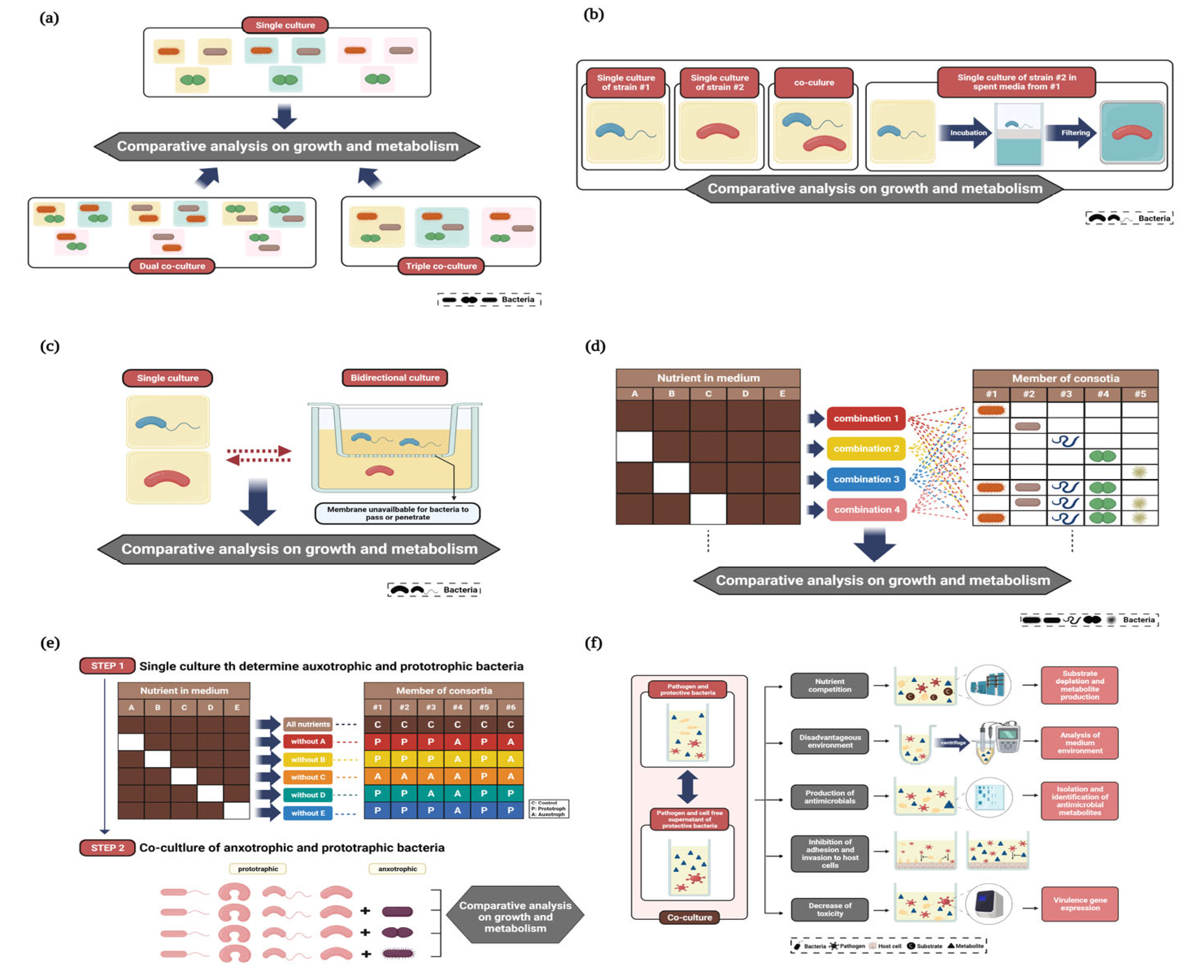 Nutrients 15 01131 g001