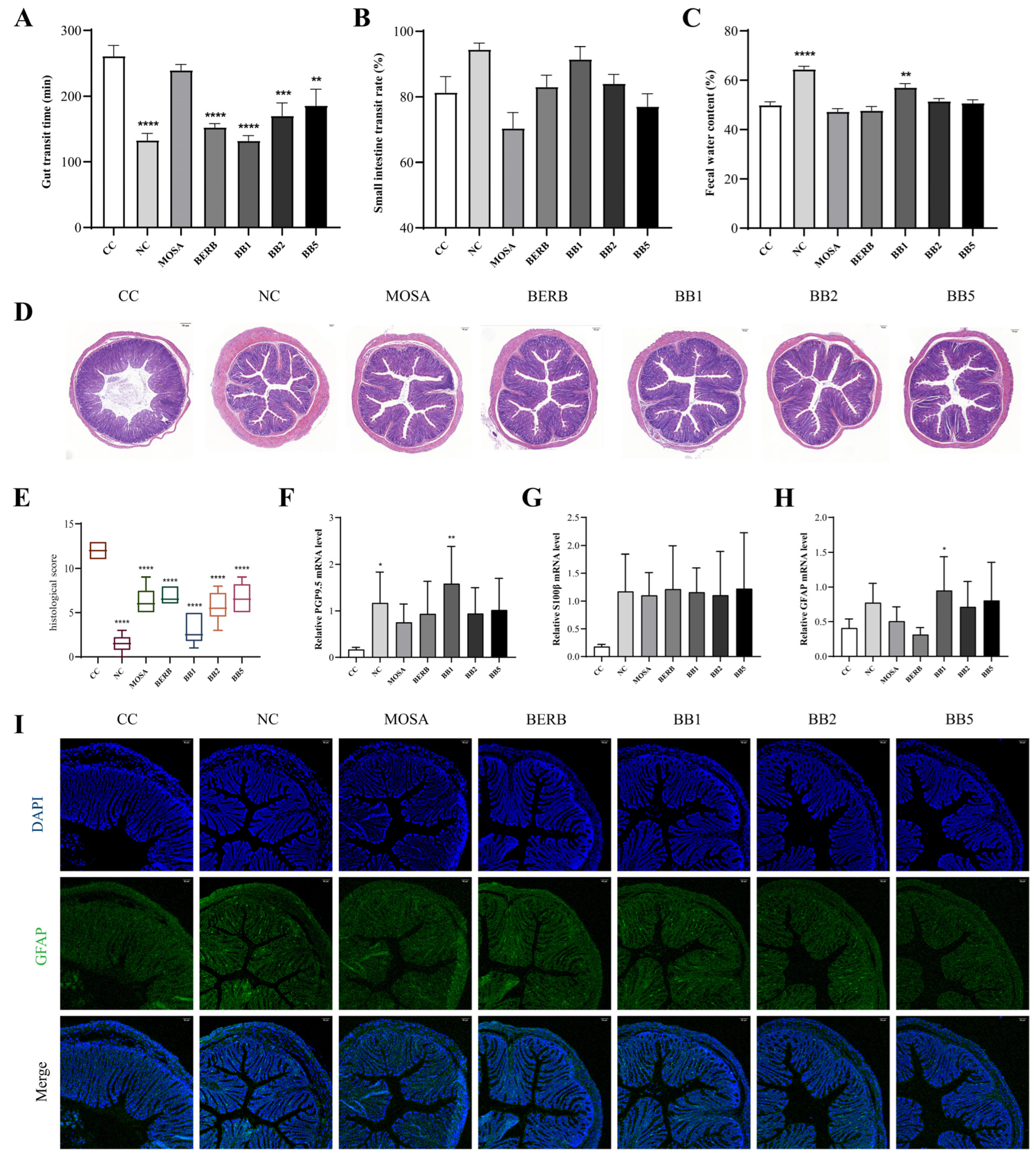 Nutrients 15 01146 g002 Nutrients 15 01146 g002