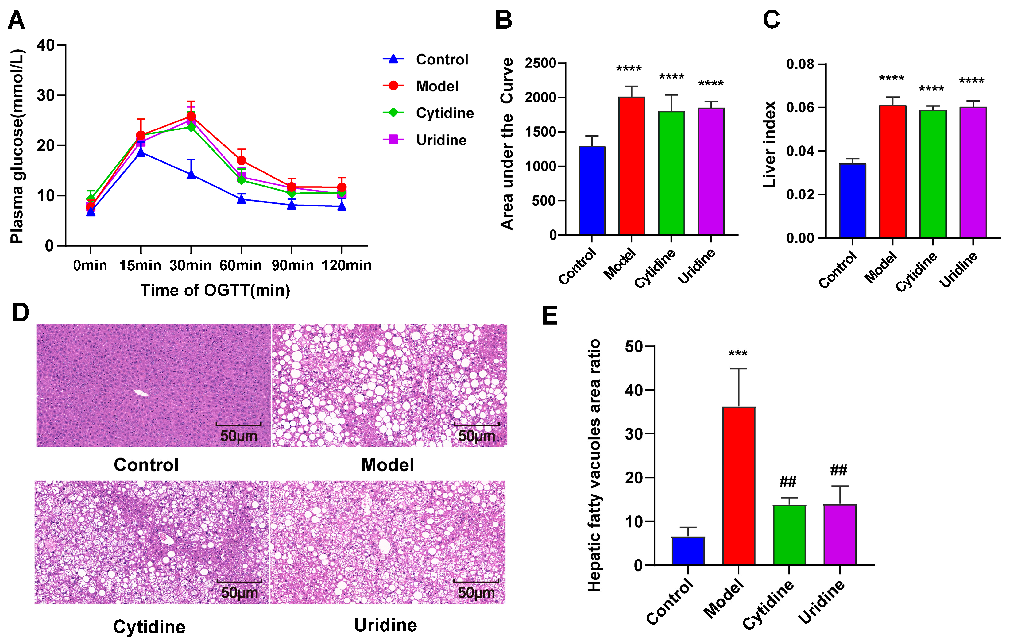 Nutrients 15 01147 g002 Nutrients 15 01147 g002