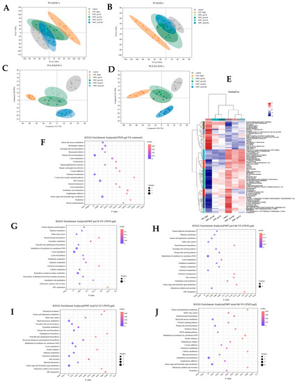 Integrated Analysis of Gut Microbiome and Liver Metabolome to Evaluate ...