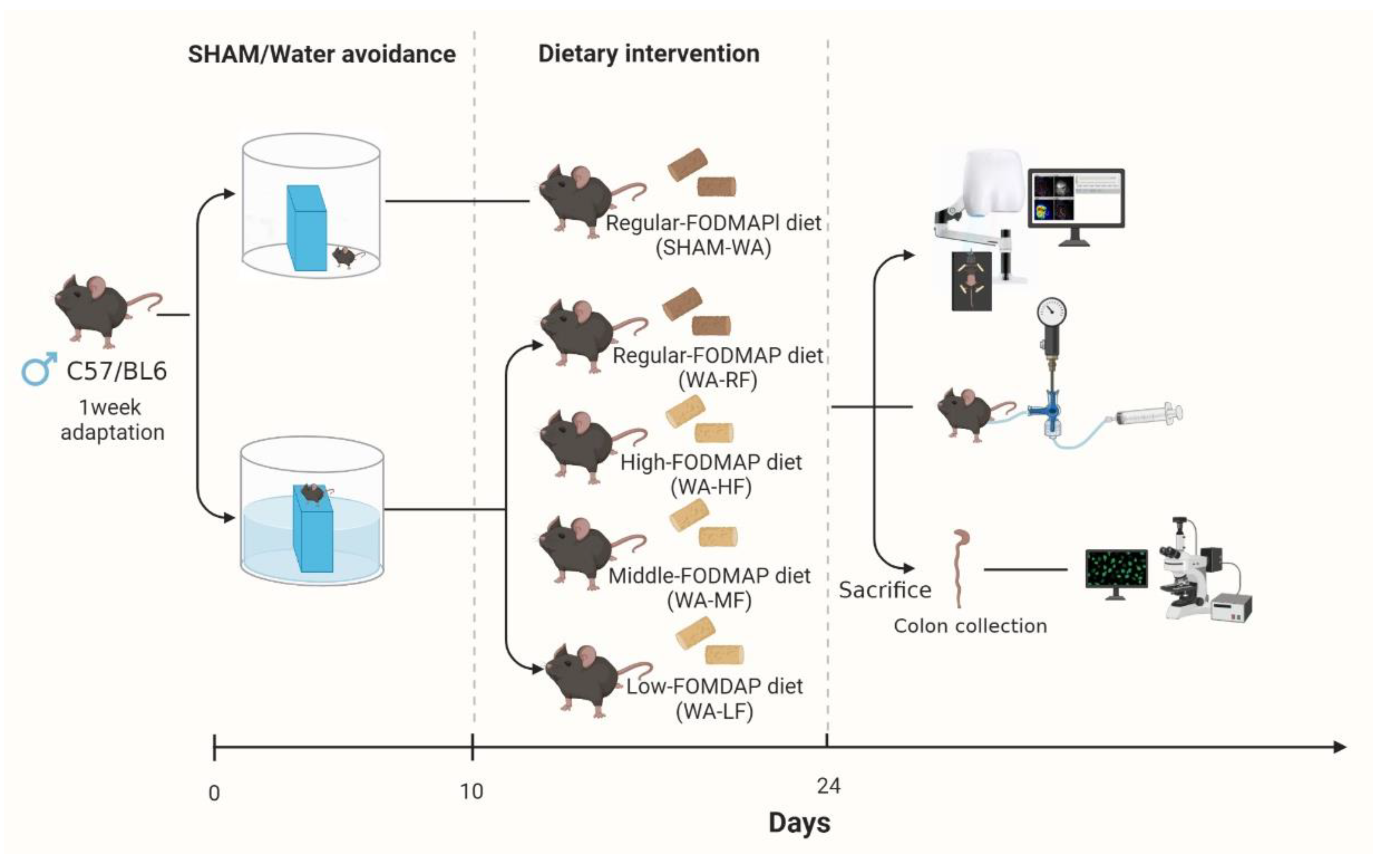 Nutrients 15 01155 g001 Nutrients 15 01155 g001