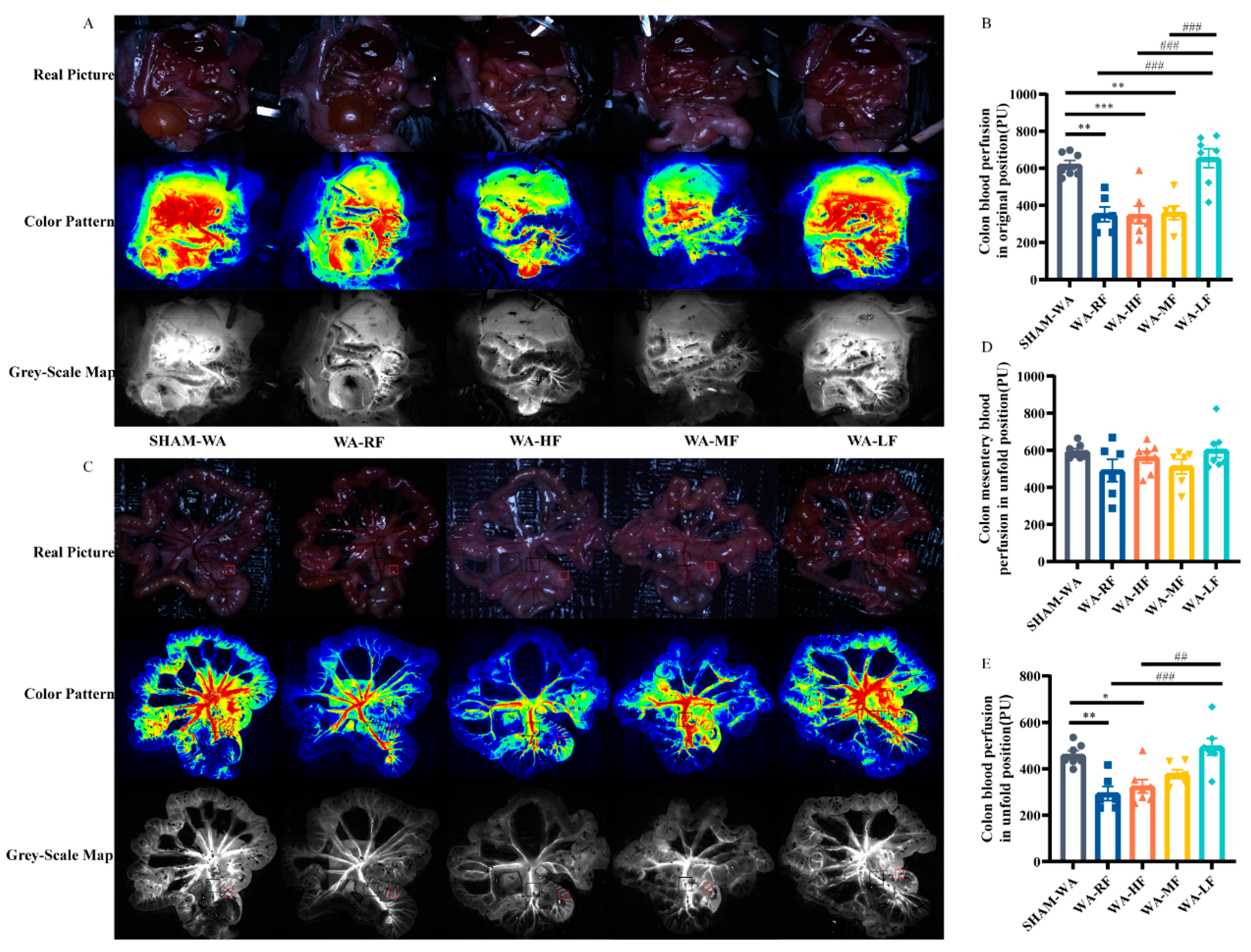 Nutrients 15 01155 g005 Nutrients 15 01155 g005
