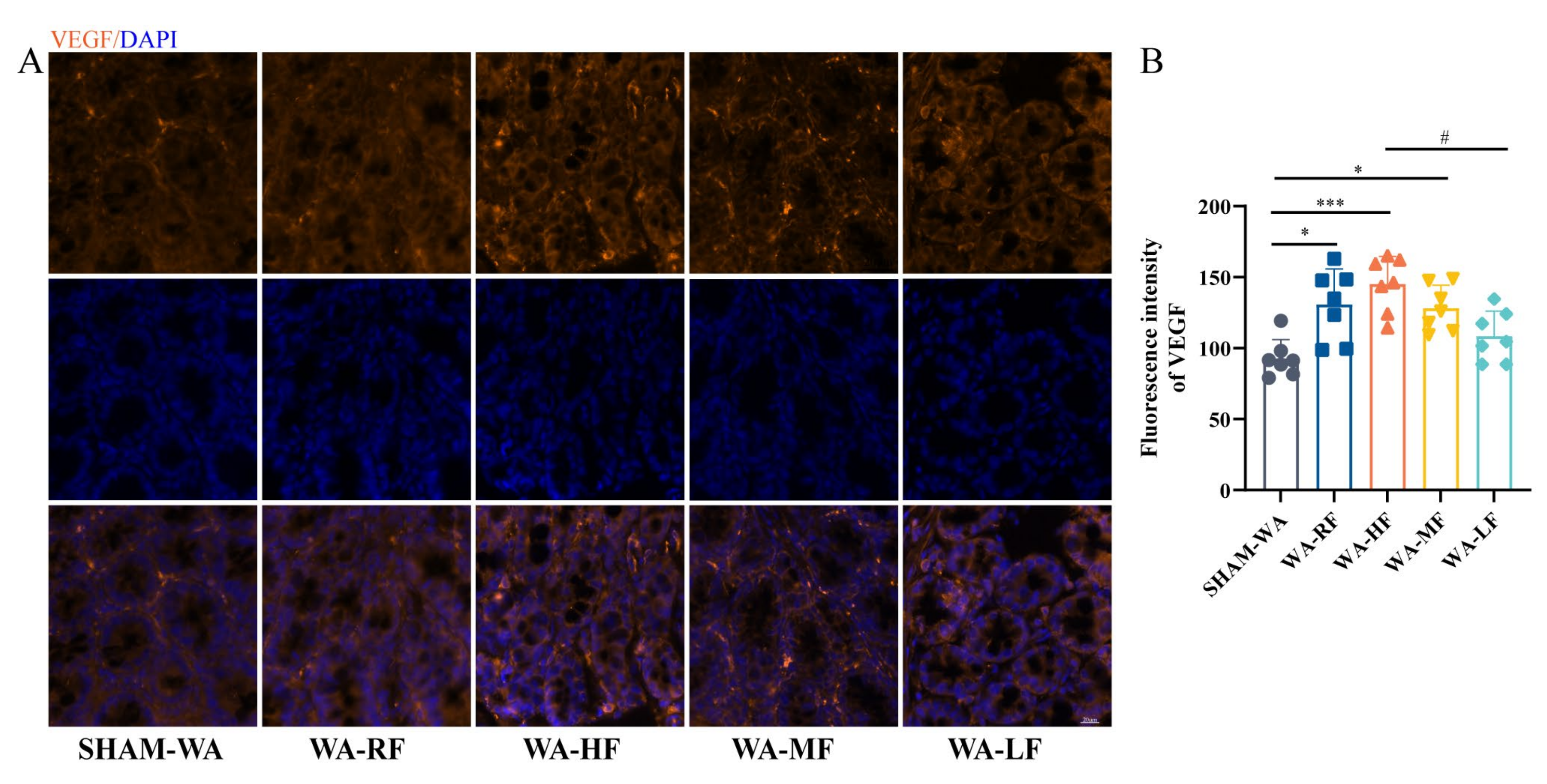 Nutrients 15 01155 g006 Nutrients 15 01155 g006