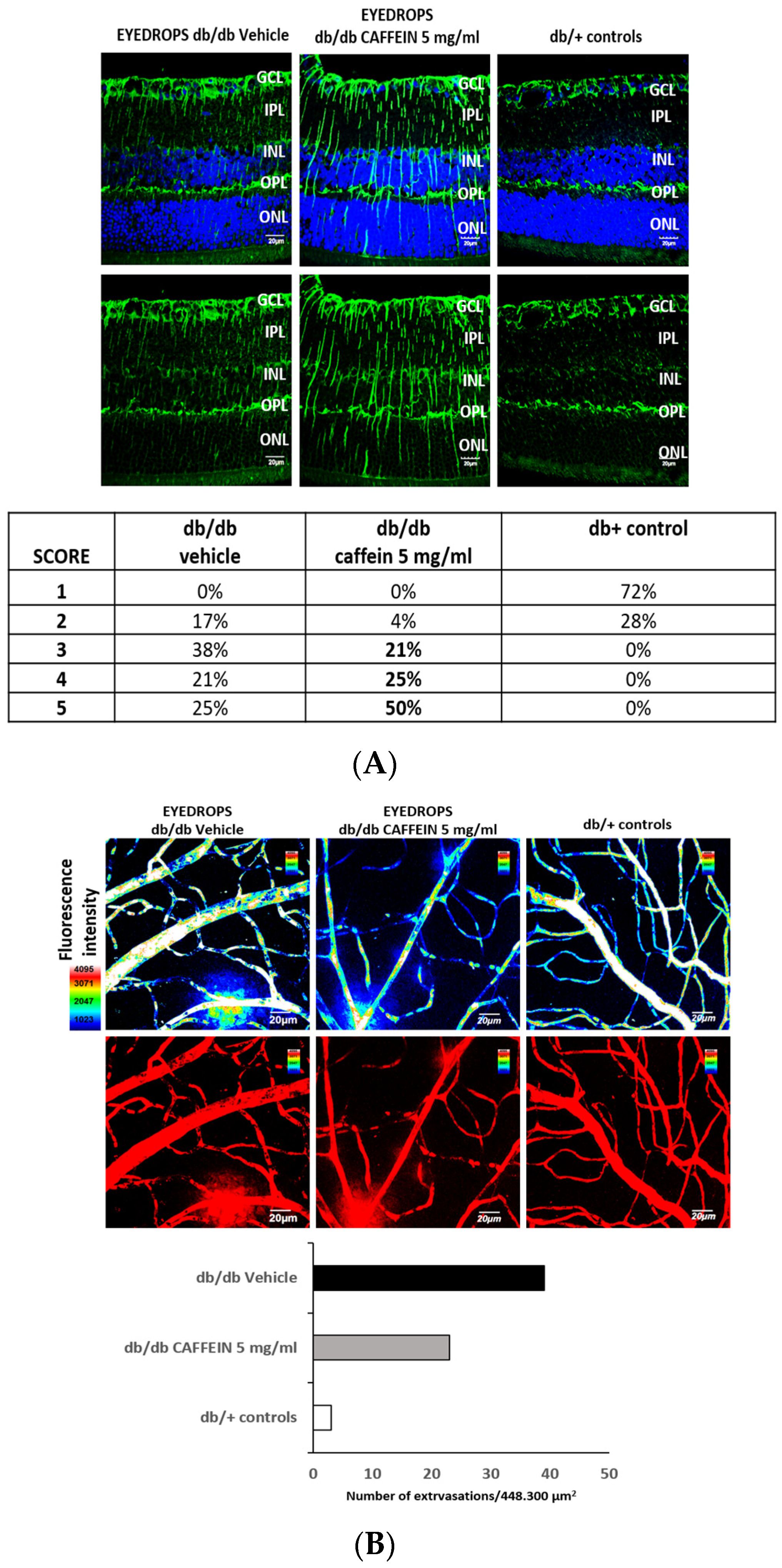 Nutrients 15 01169 g001