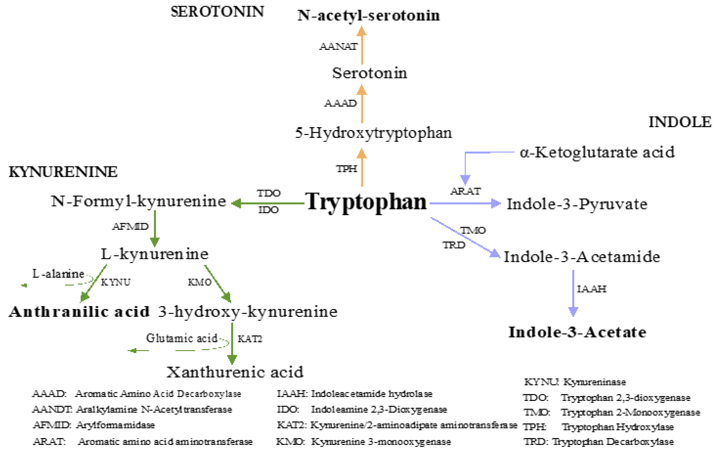 Nutrients 15 01185 g001 Nutrients 15 01185 g001