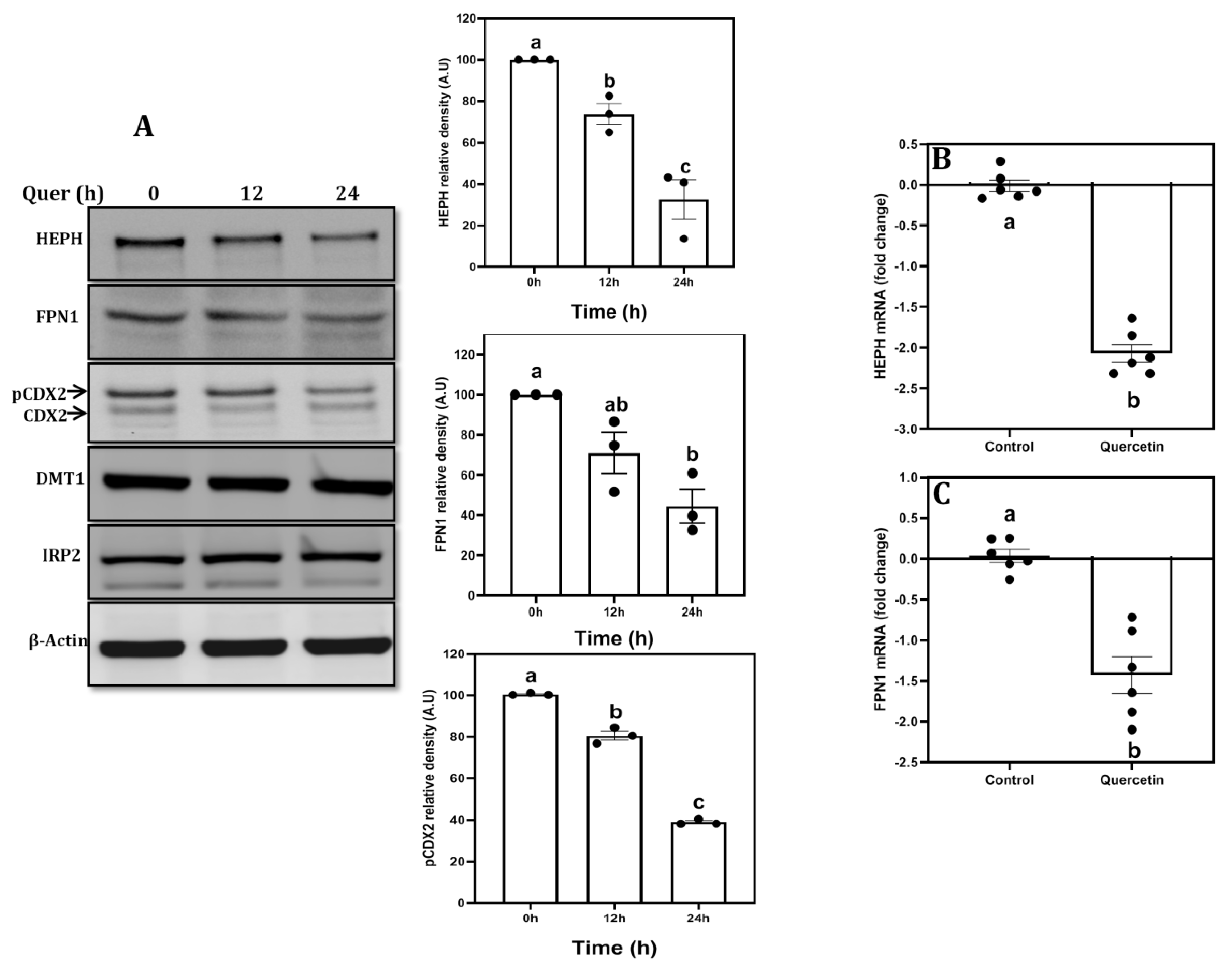Nutrients 15 01205 g002