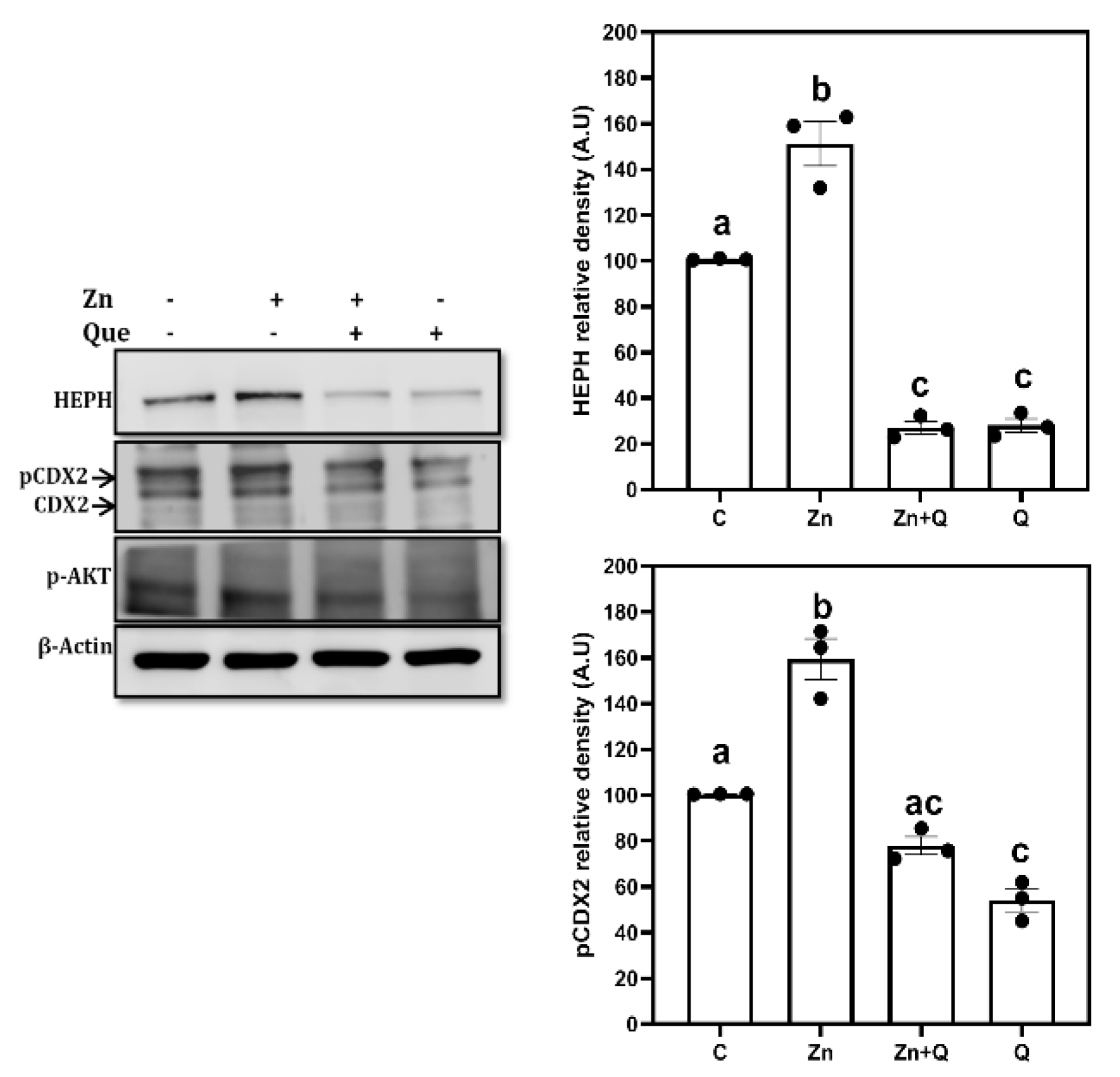 Nutrients 15 01205 g003