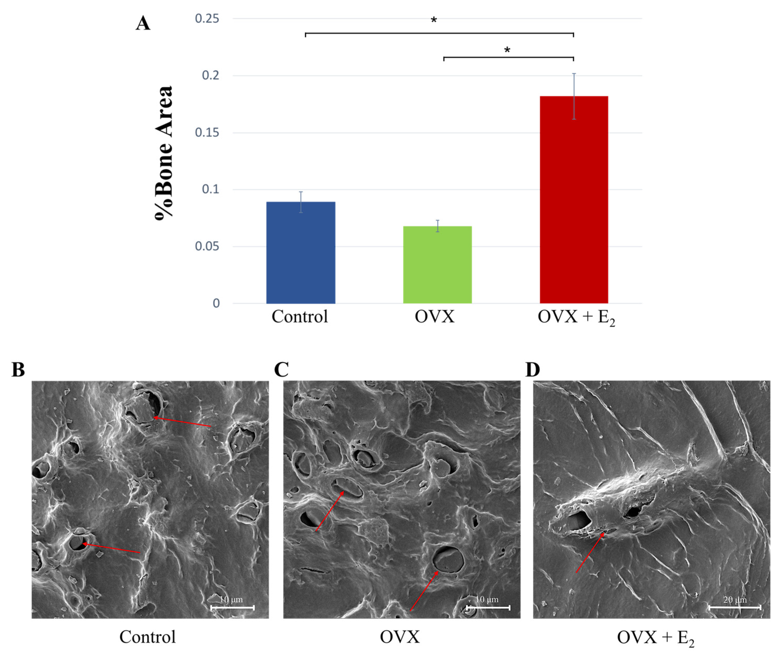 Nutrients 15 01209 g005